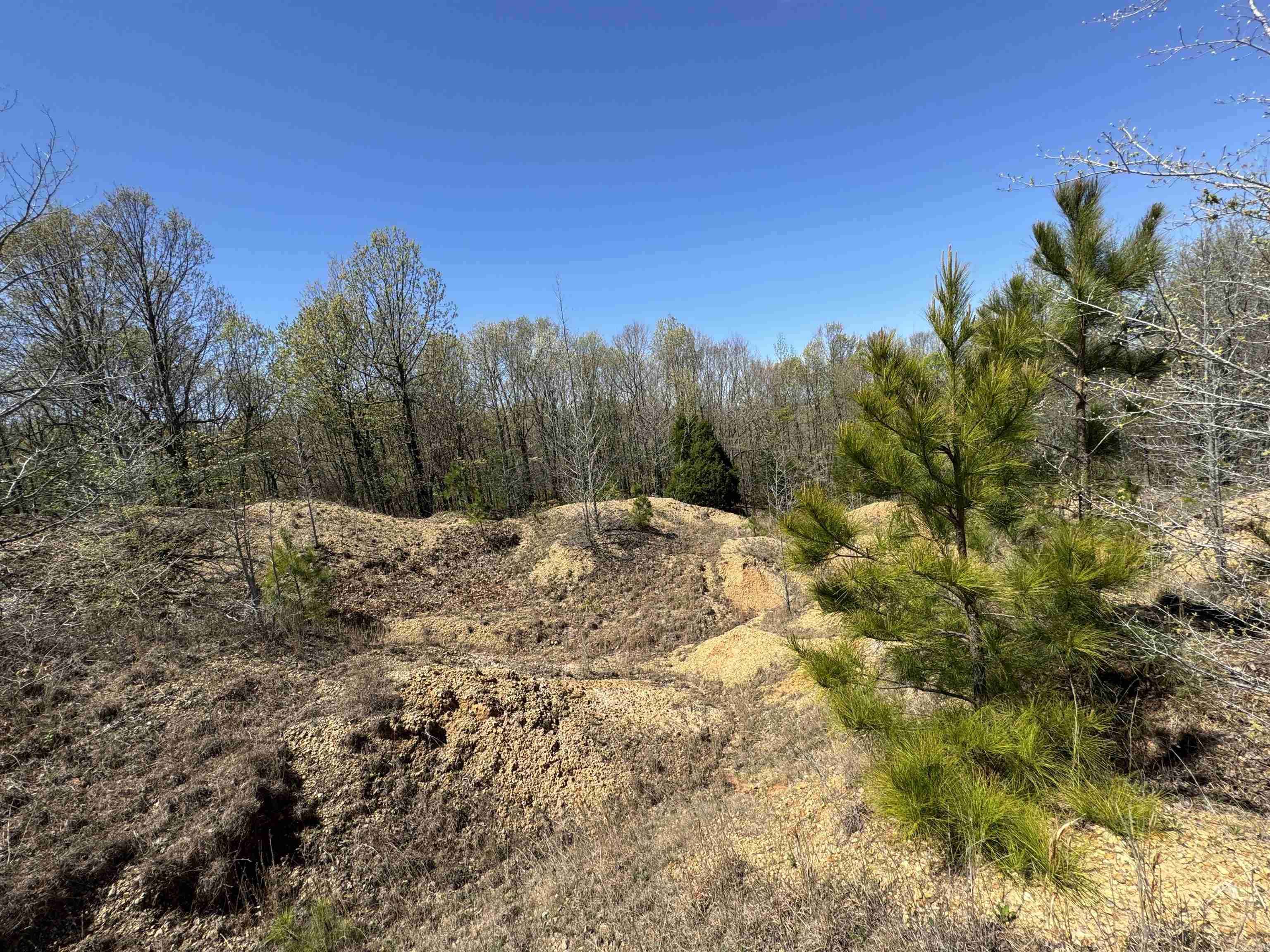 0 clay rd 431  Pollard, AR