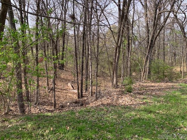 900 Rolling Forest  Jonesboro, AR