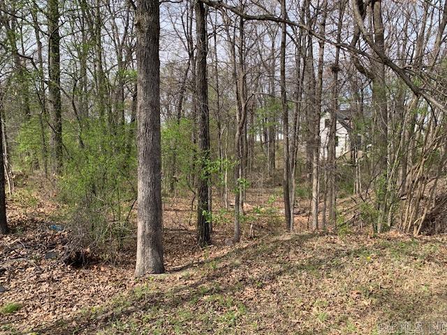 900 Rolling Forest  Jonesboro, AR