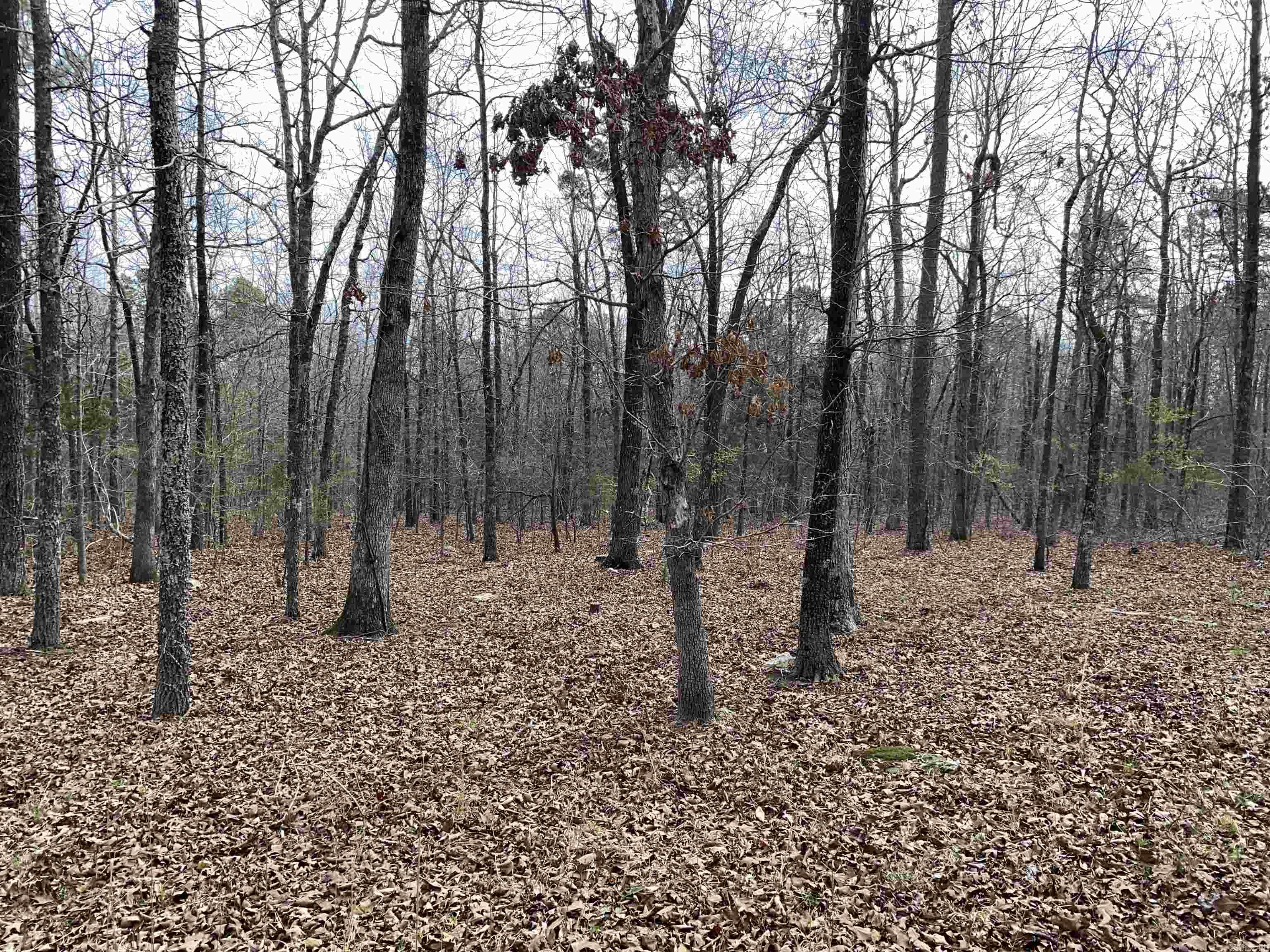 119 Venus  Oxley, AR