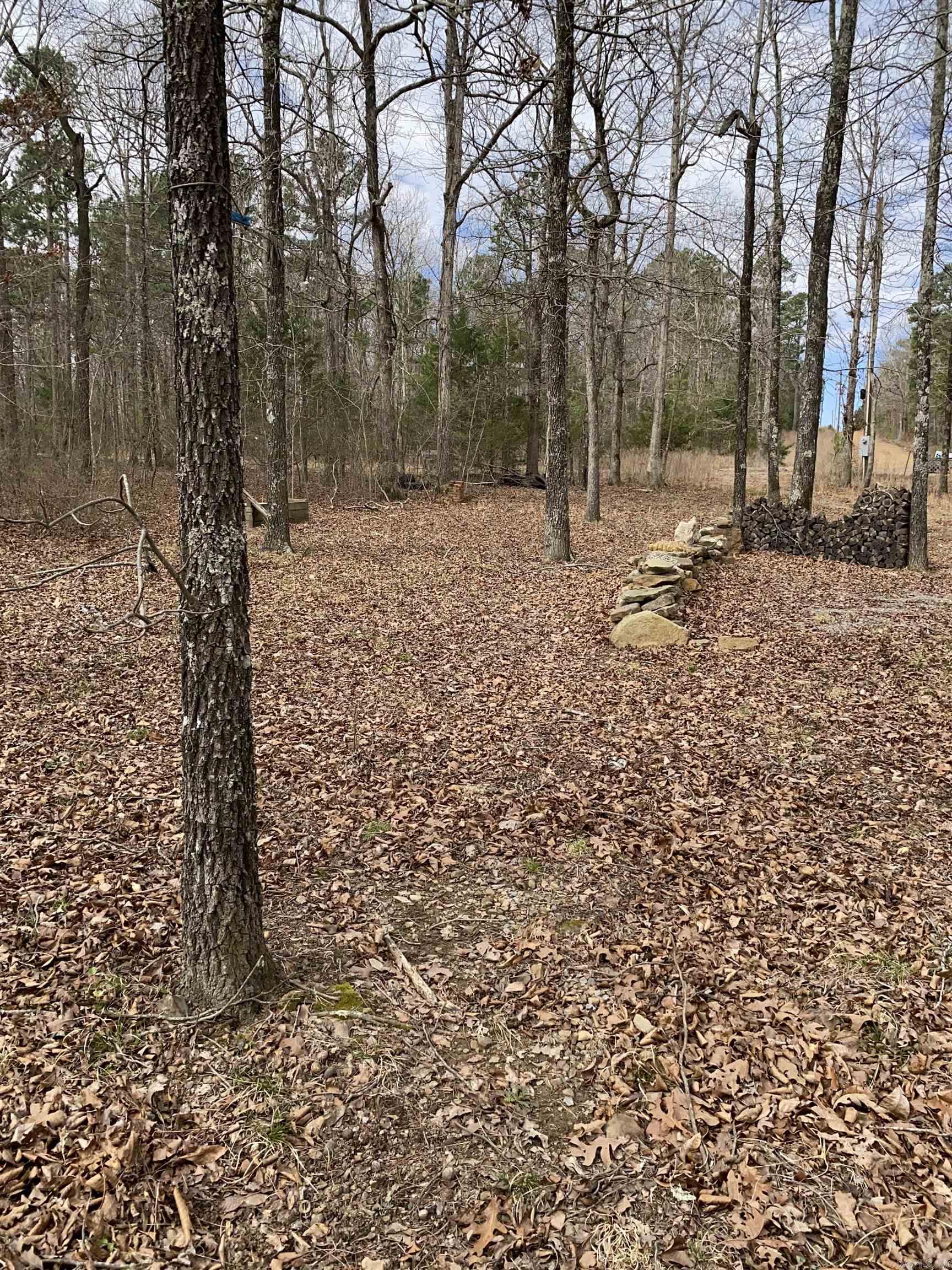 119 Venus  Oxley, AR