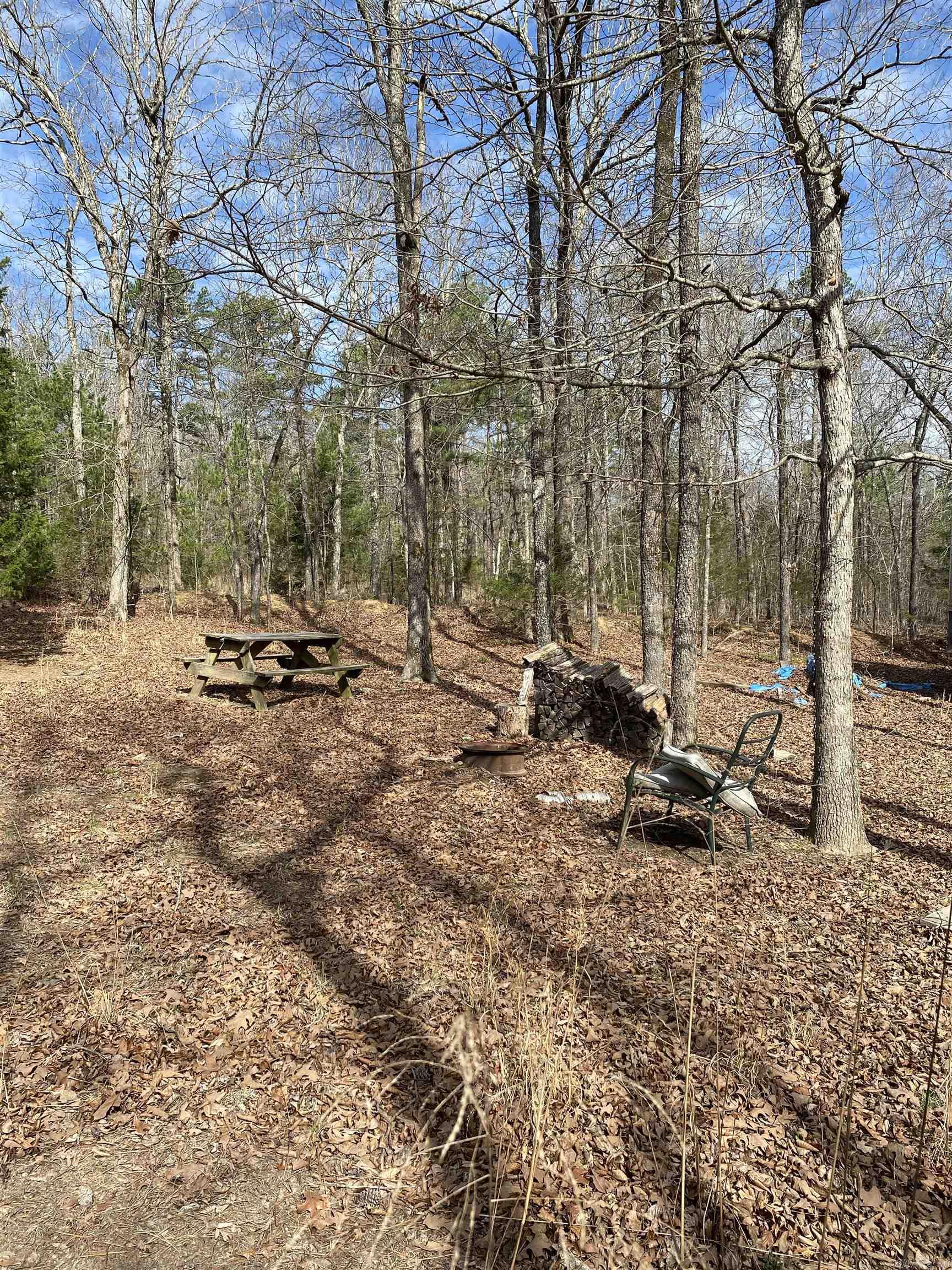 119 Venus  Oxley, AR