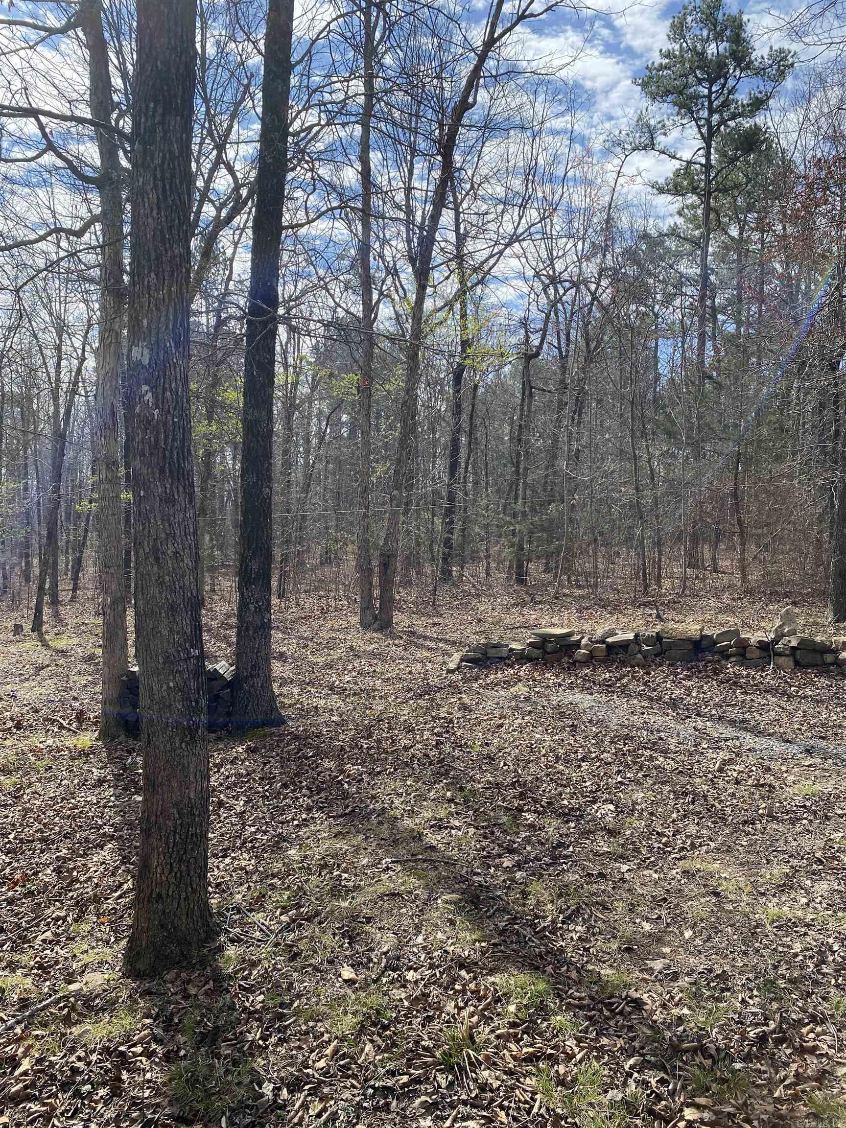 119 Venus  Oxley, AR