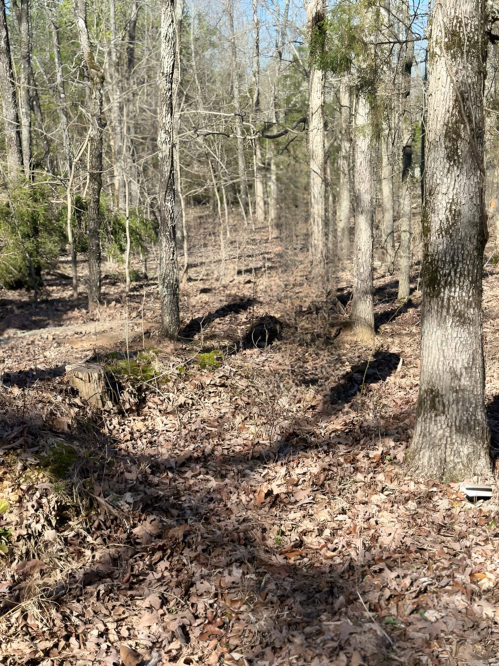 119 Venus  Oxley, AR