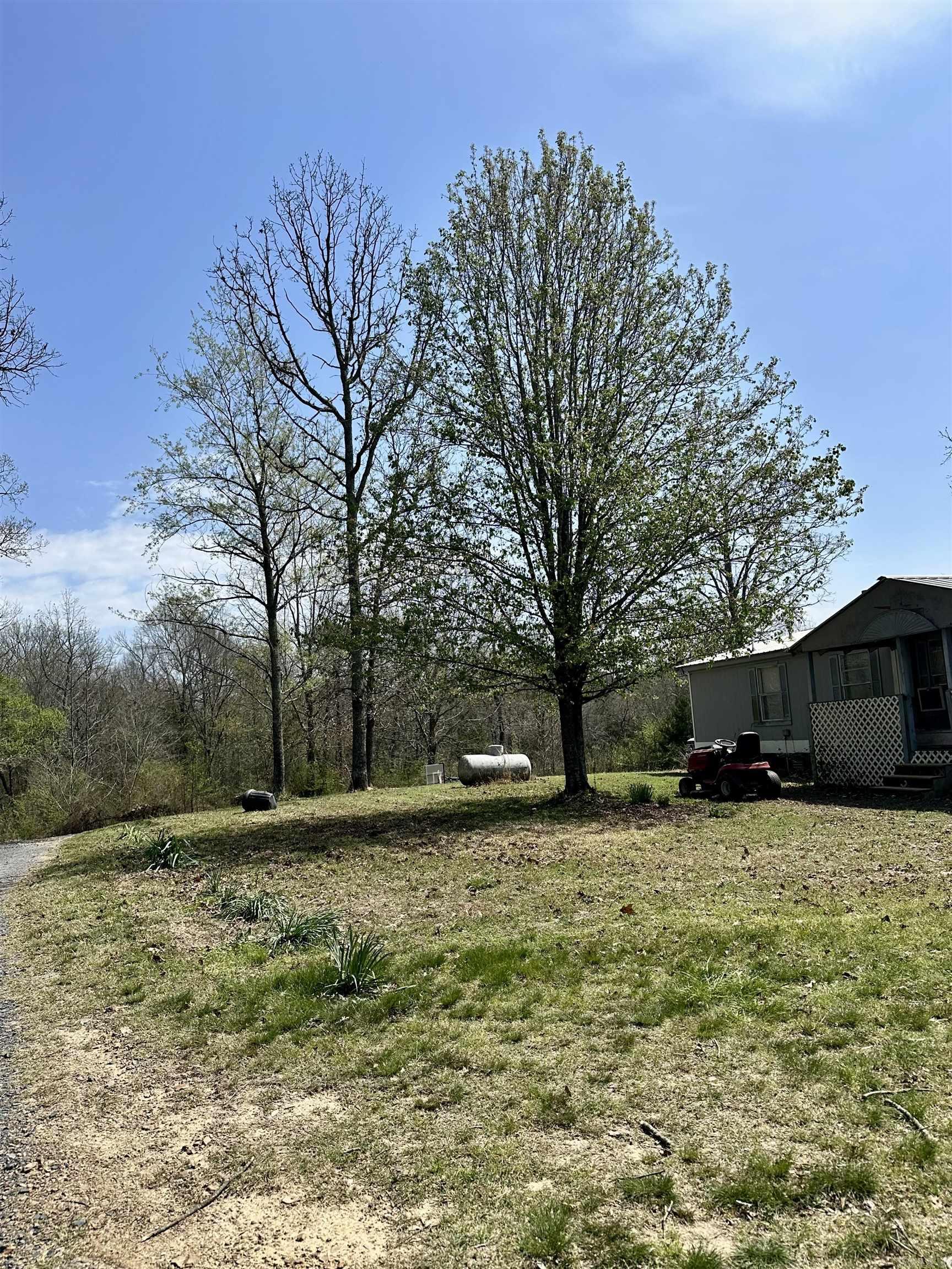 149 Hendricks Lane  Cove, AR