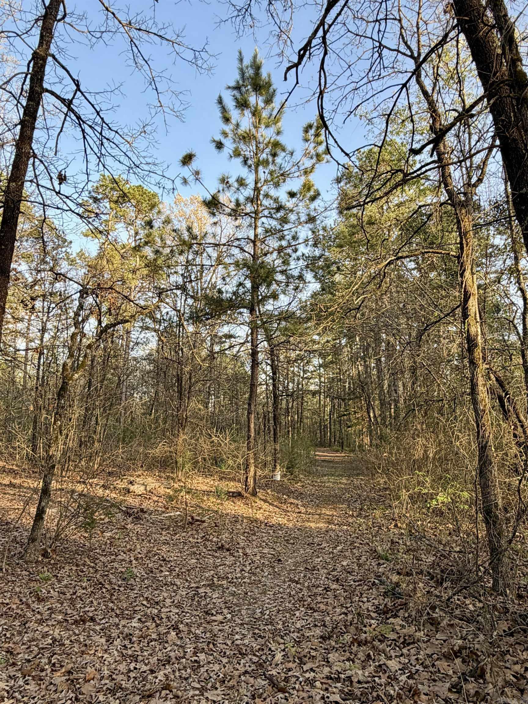 776 Hargrove Rd  Texarkana, AR