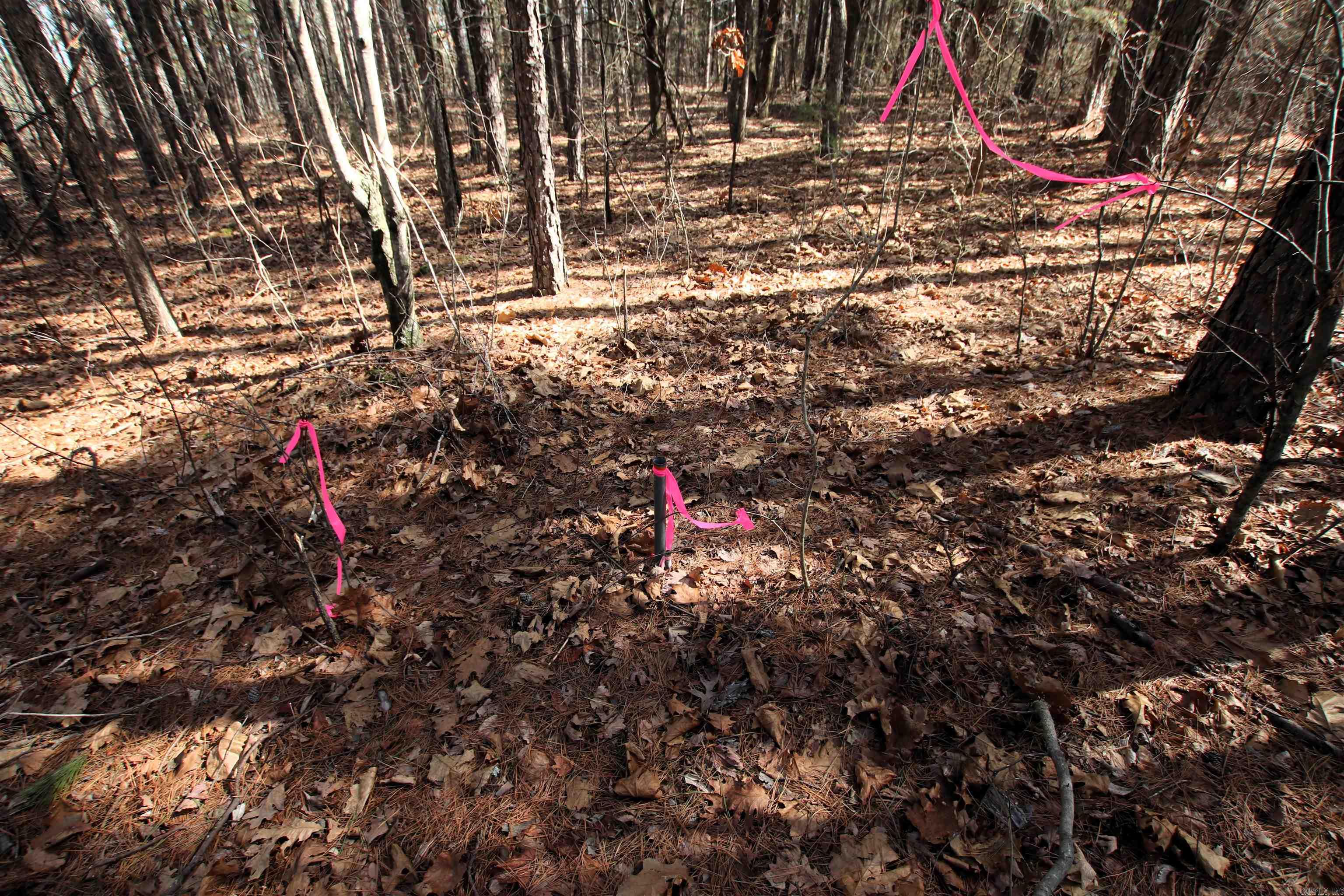 2986 E Mountain  Clinton, AR