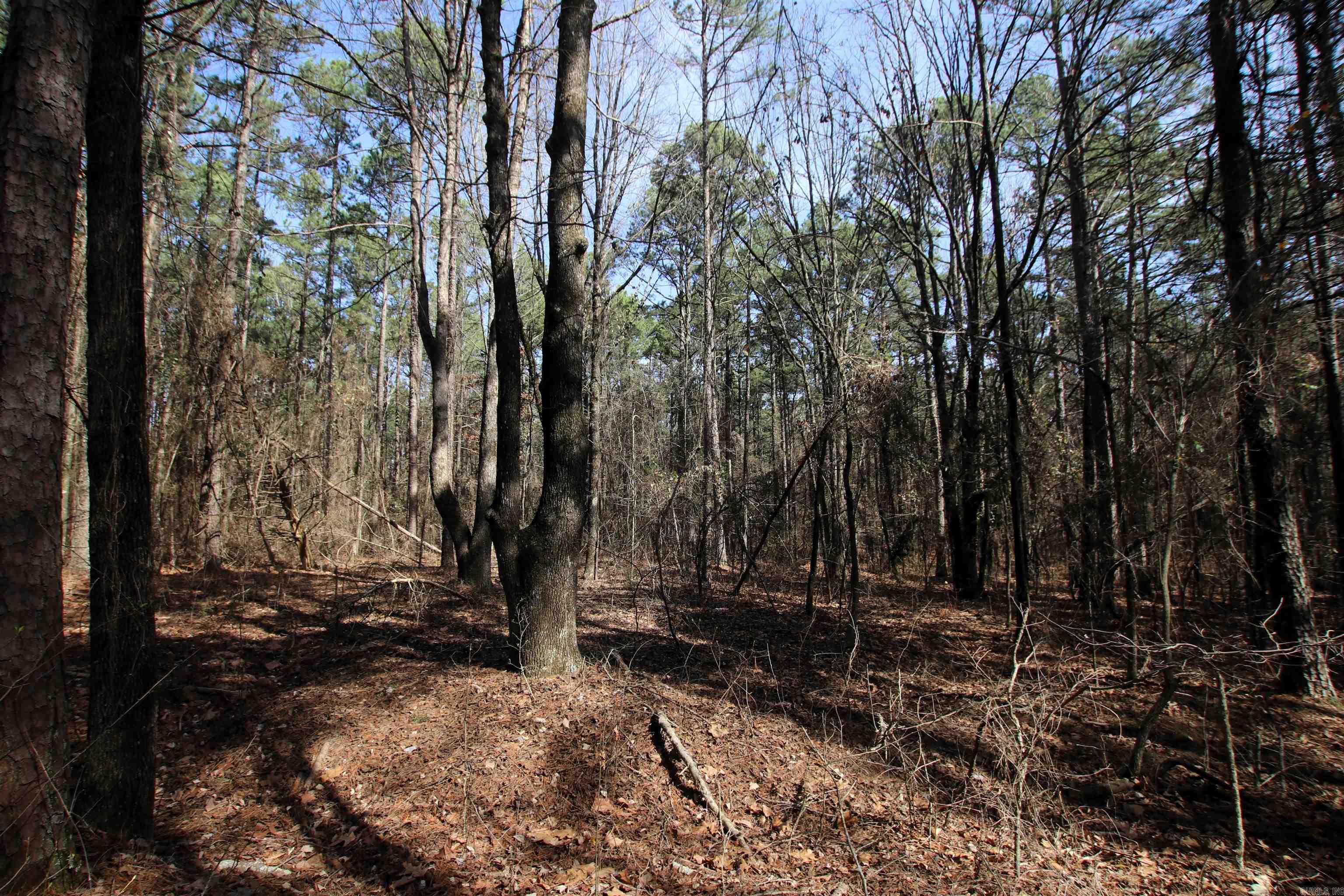 2986 E Mountain  Clinton, AR