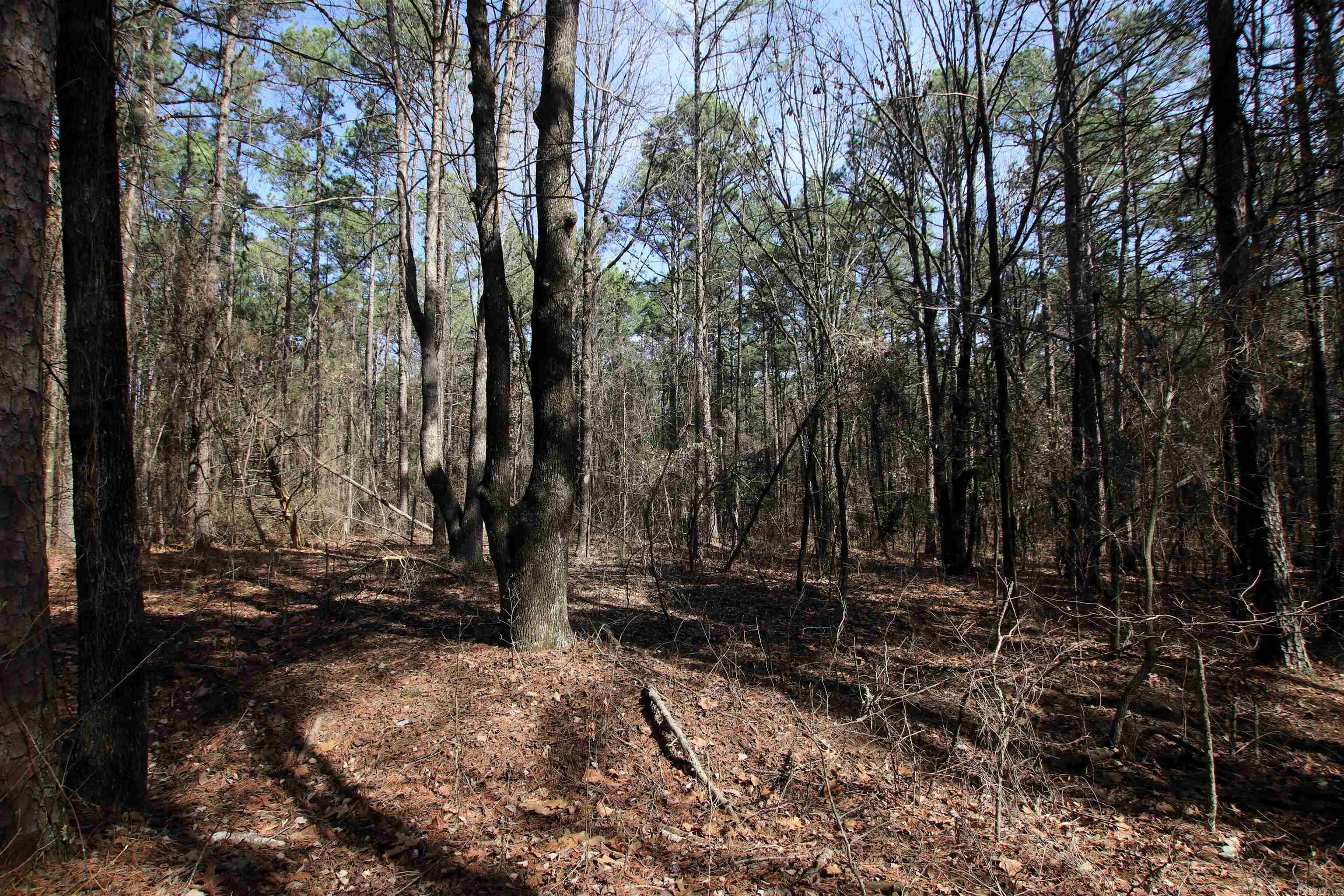 2986 E Mountain  Clinton, AR