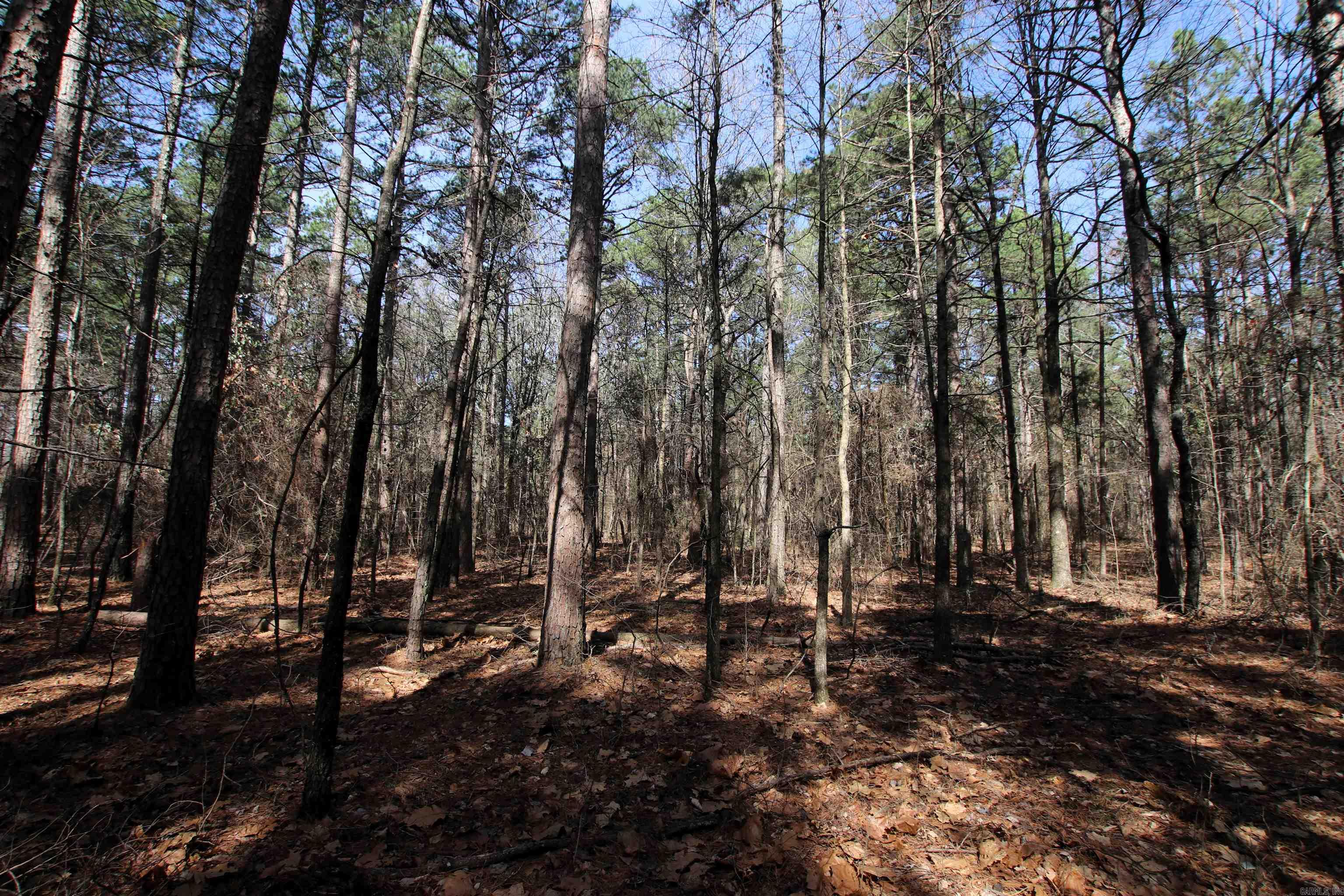 2986 E Mountain  Clinton, AR