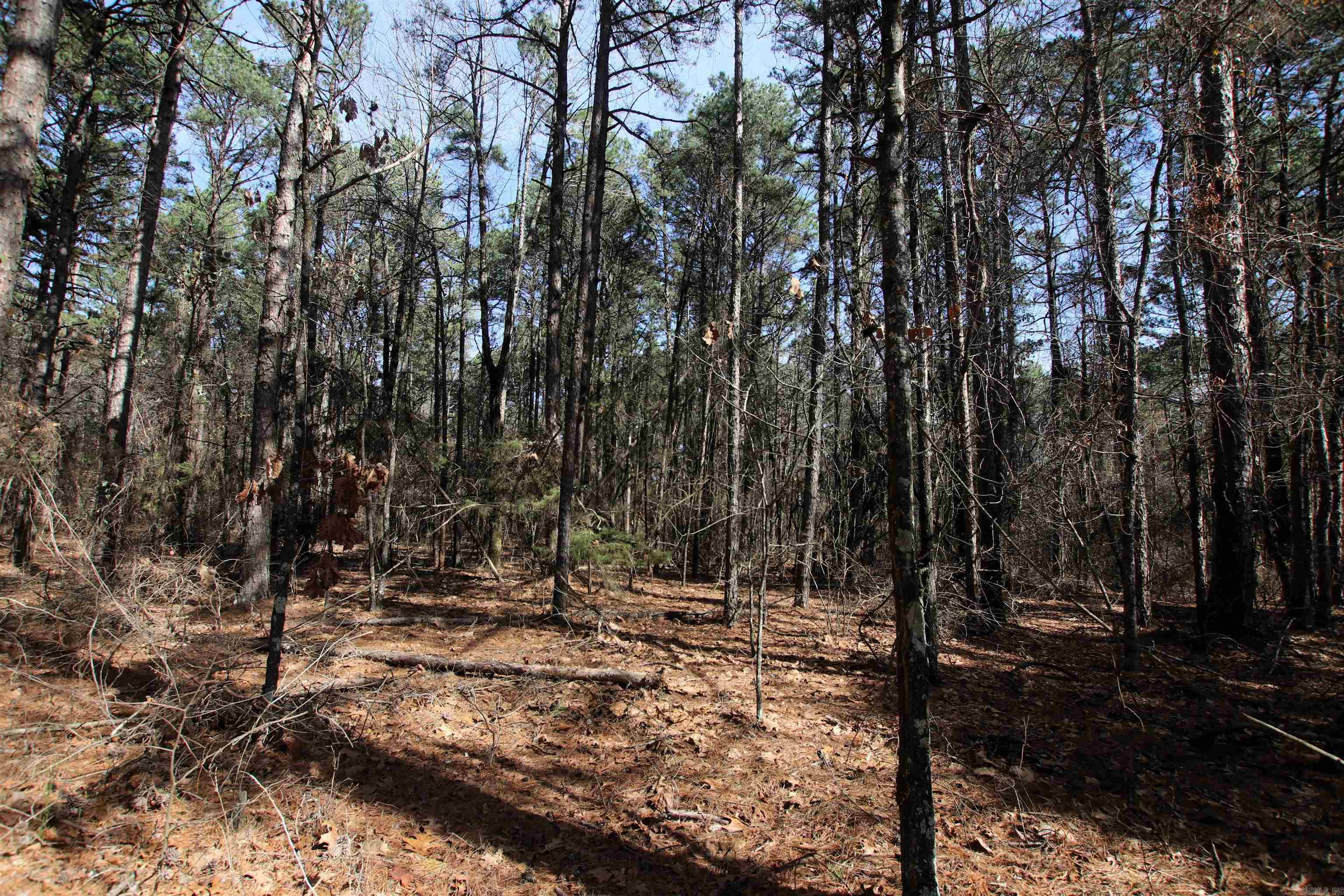 2986 E Mountain  Clinton, AR