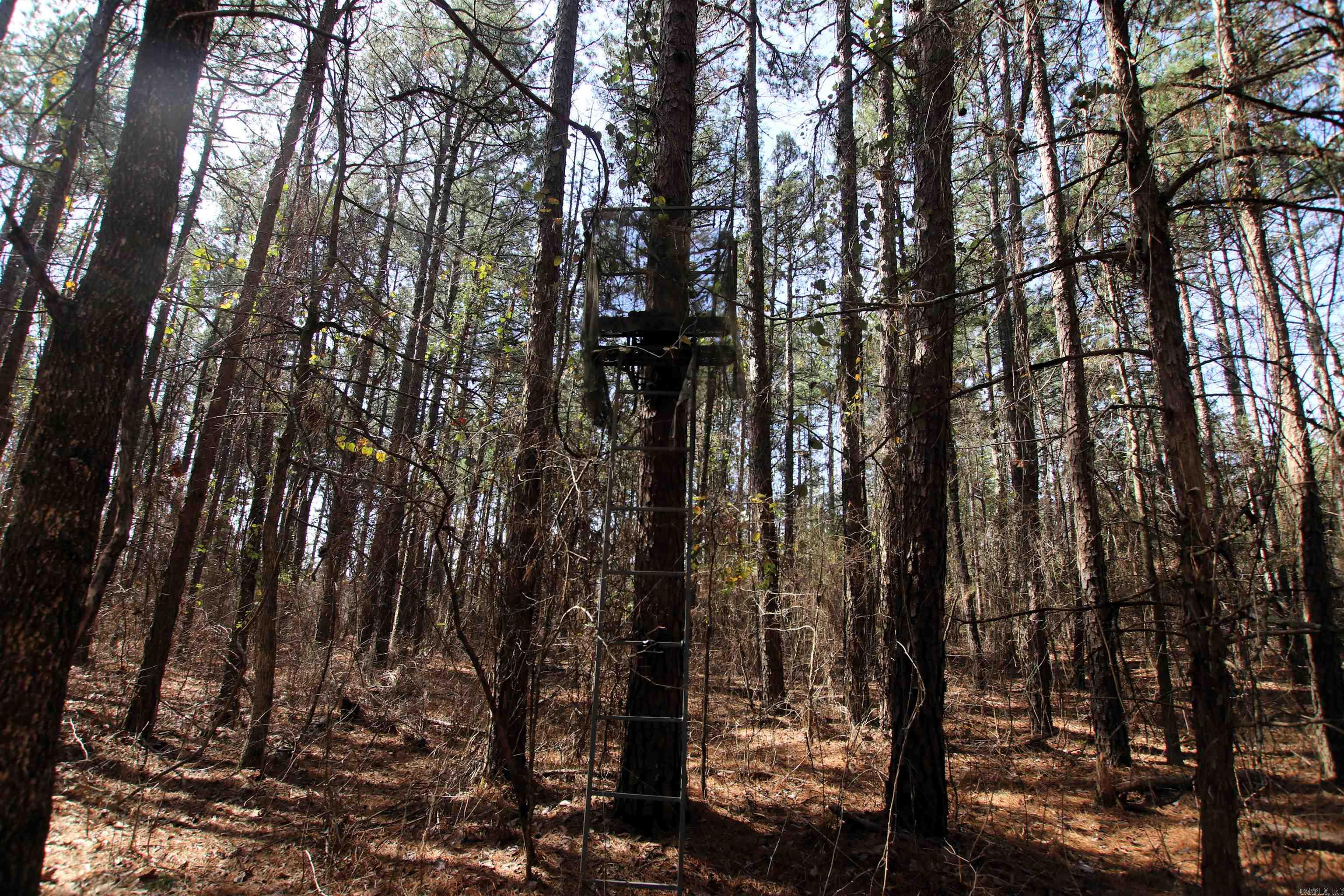 2986 E Mountain  Clinton, AR