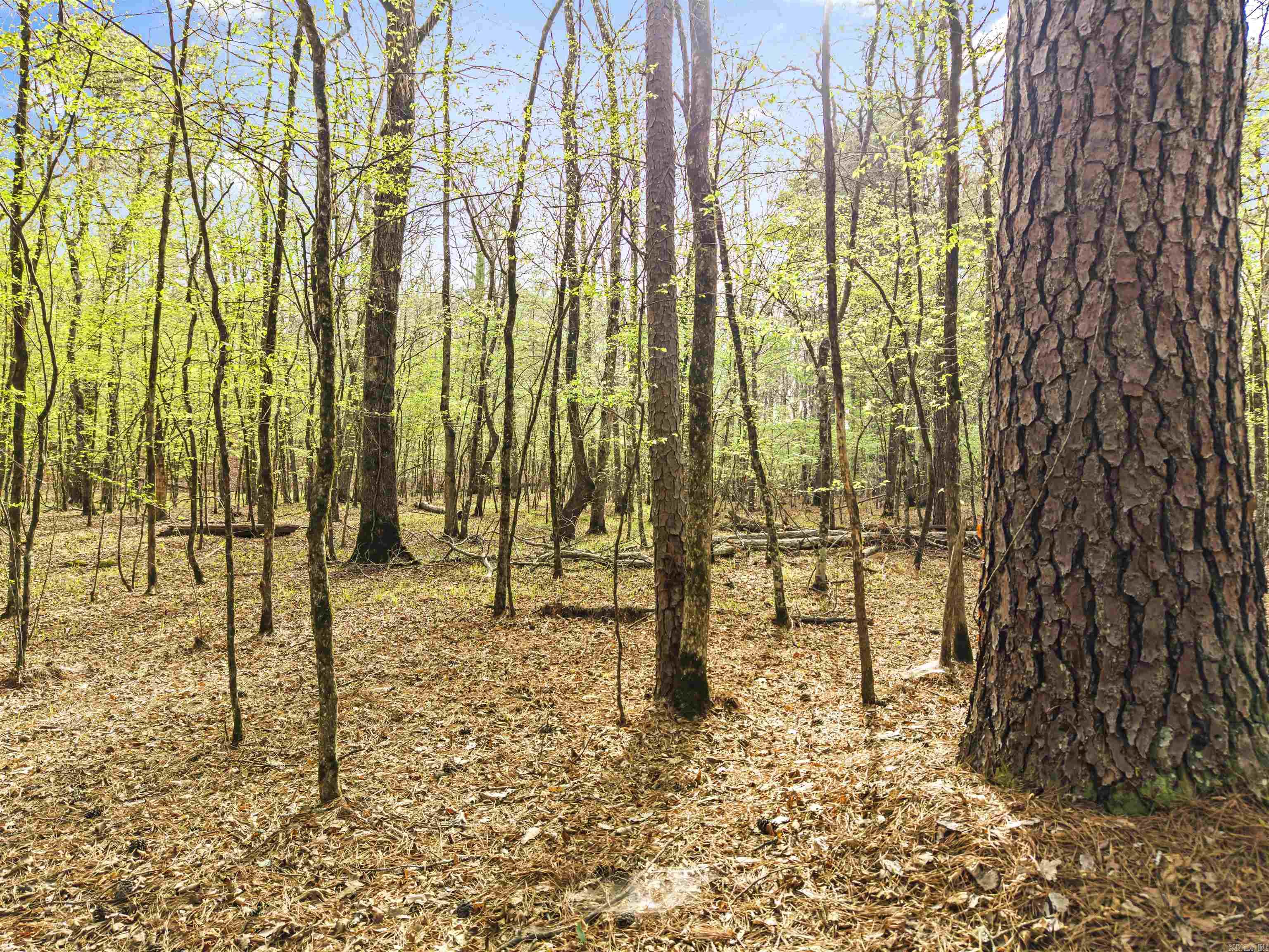 198 Shelly Lane  Hot Springs, AR