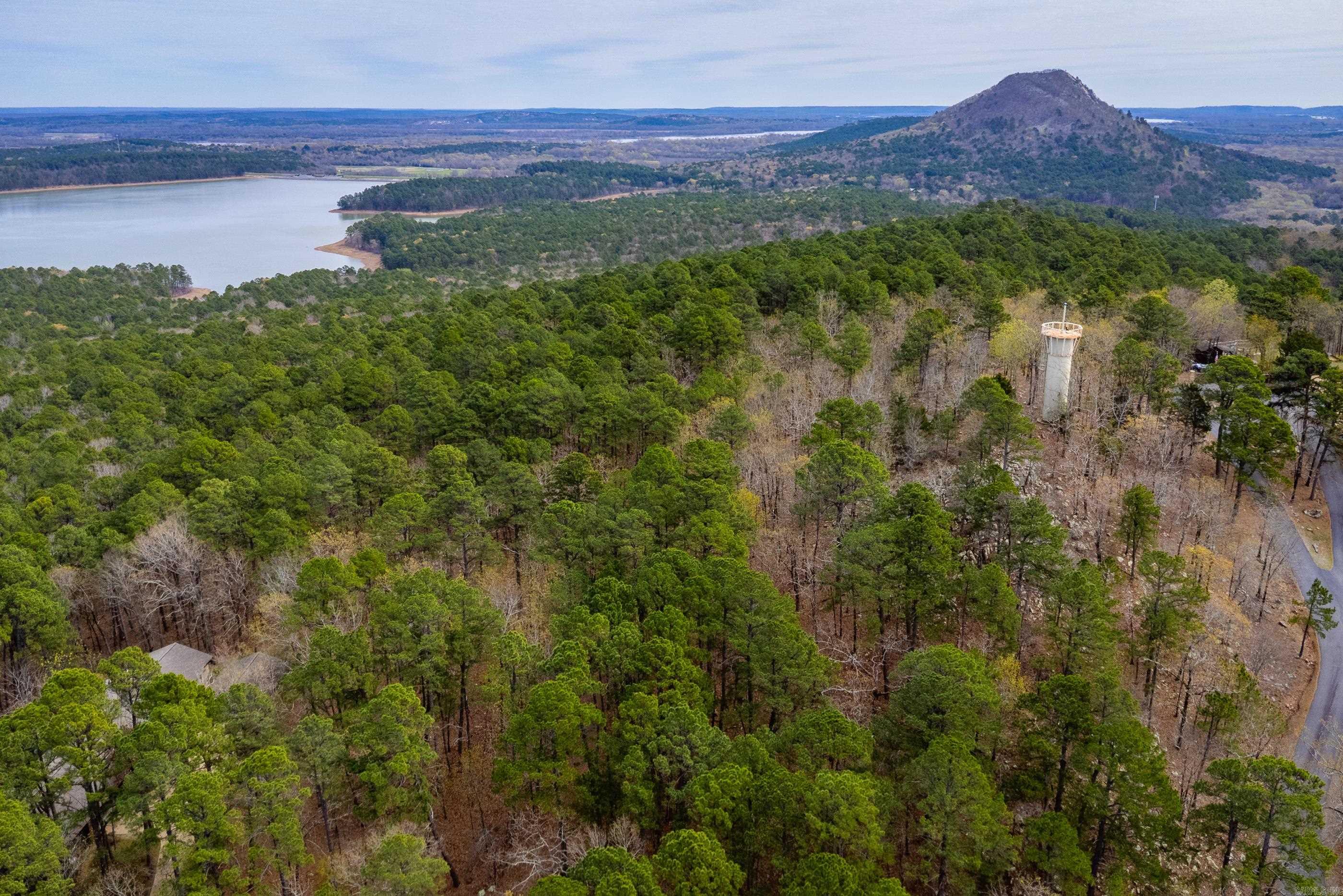 11201 Old Arkansas Drive  Roland, AR