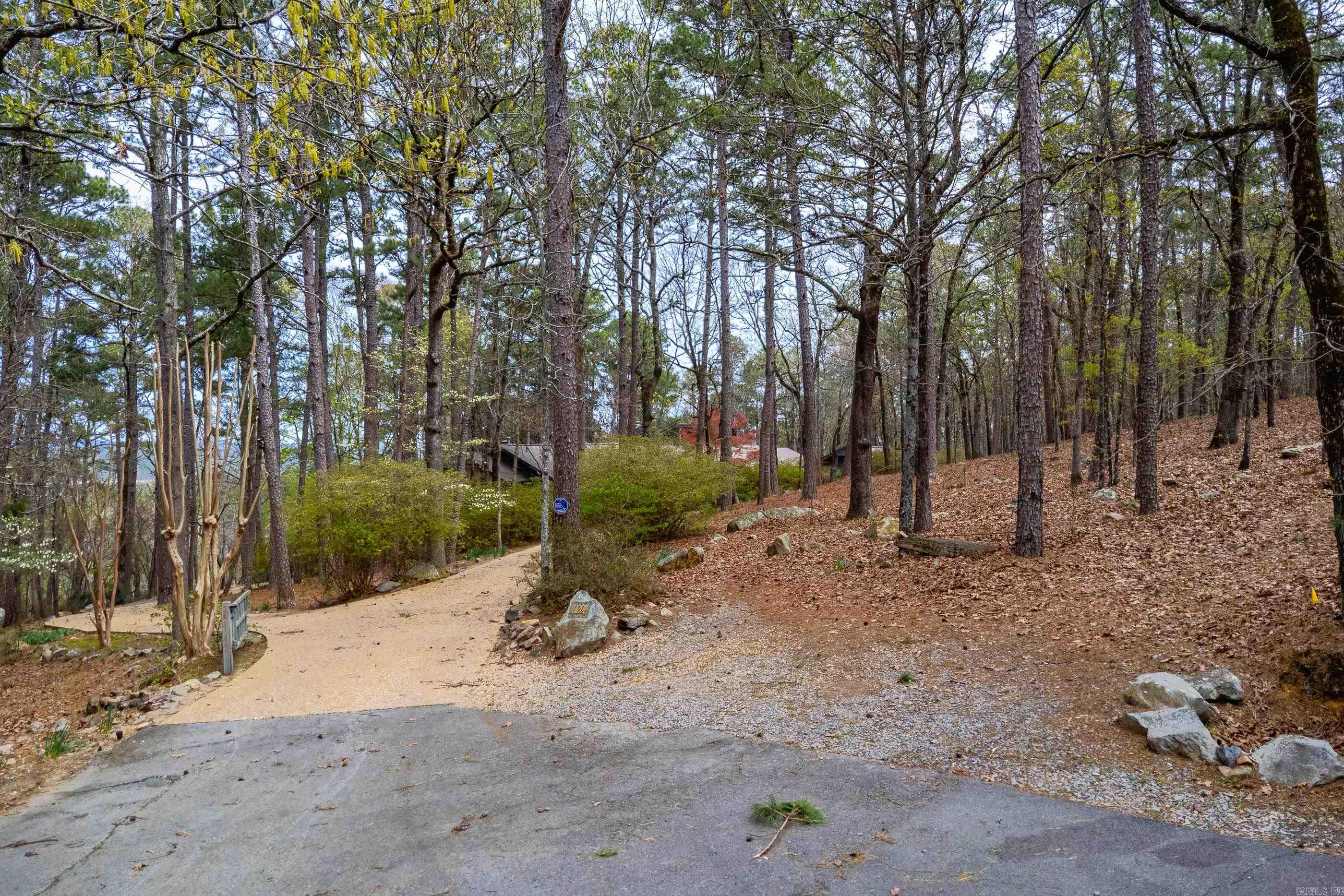 11201 Old Arkansas Drive  Roland, AR