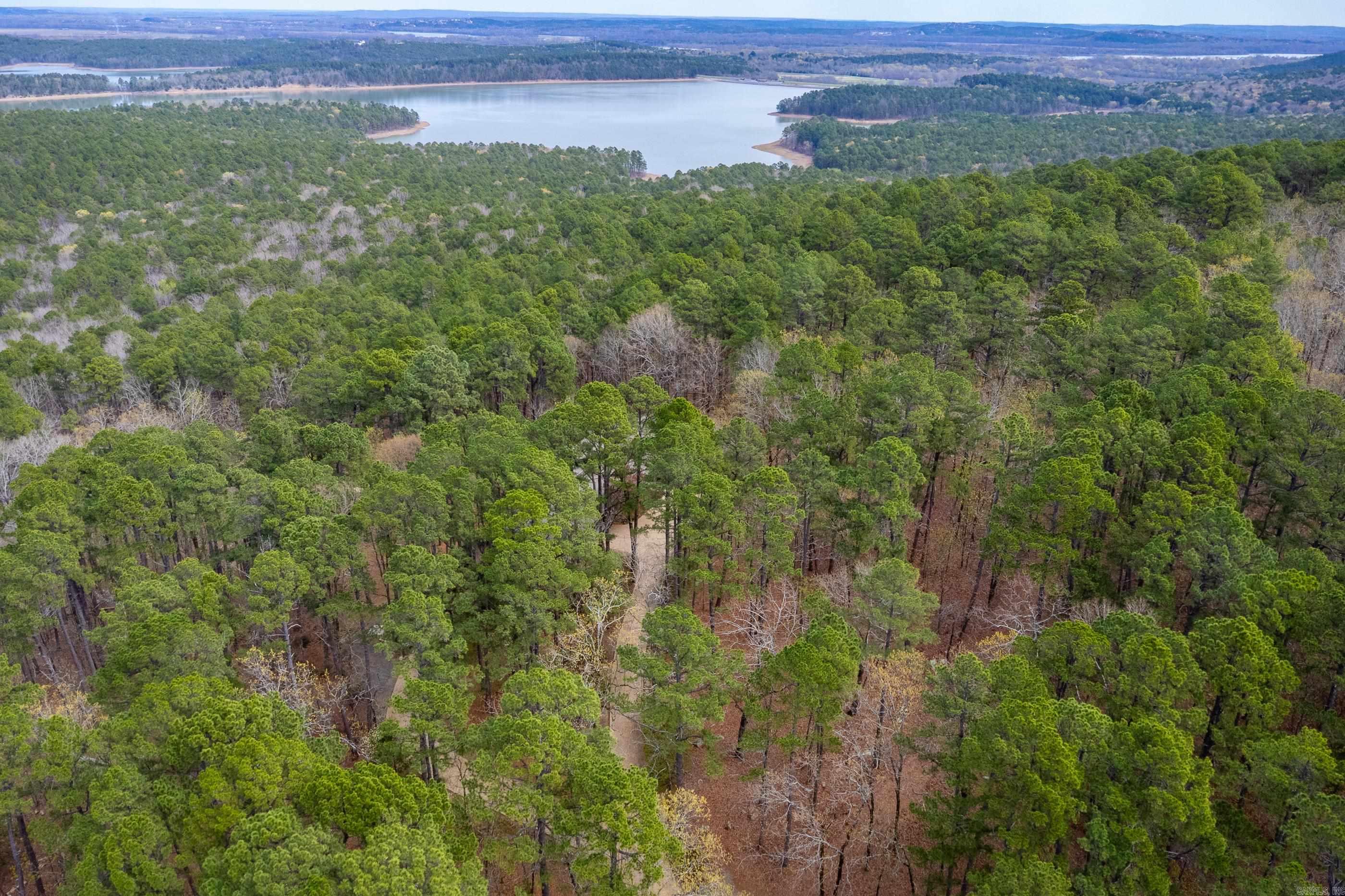 11201 Old Arkansas Drive  Roland, AR