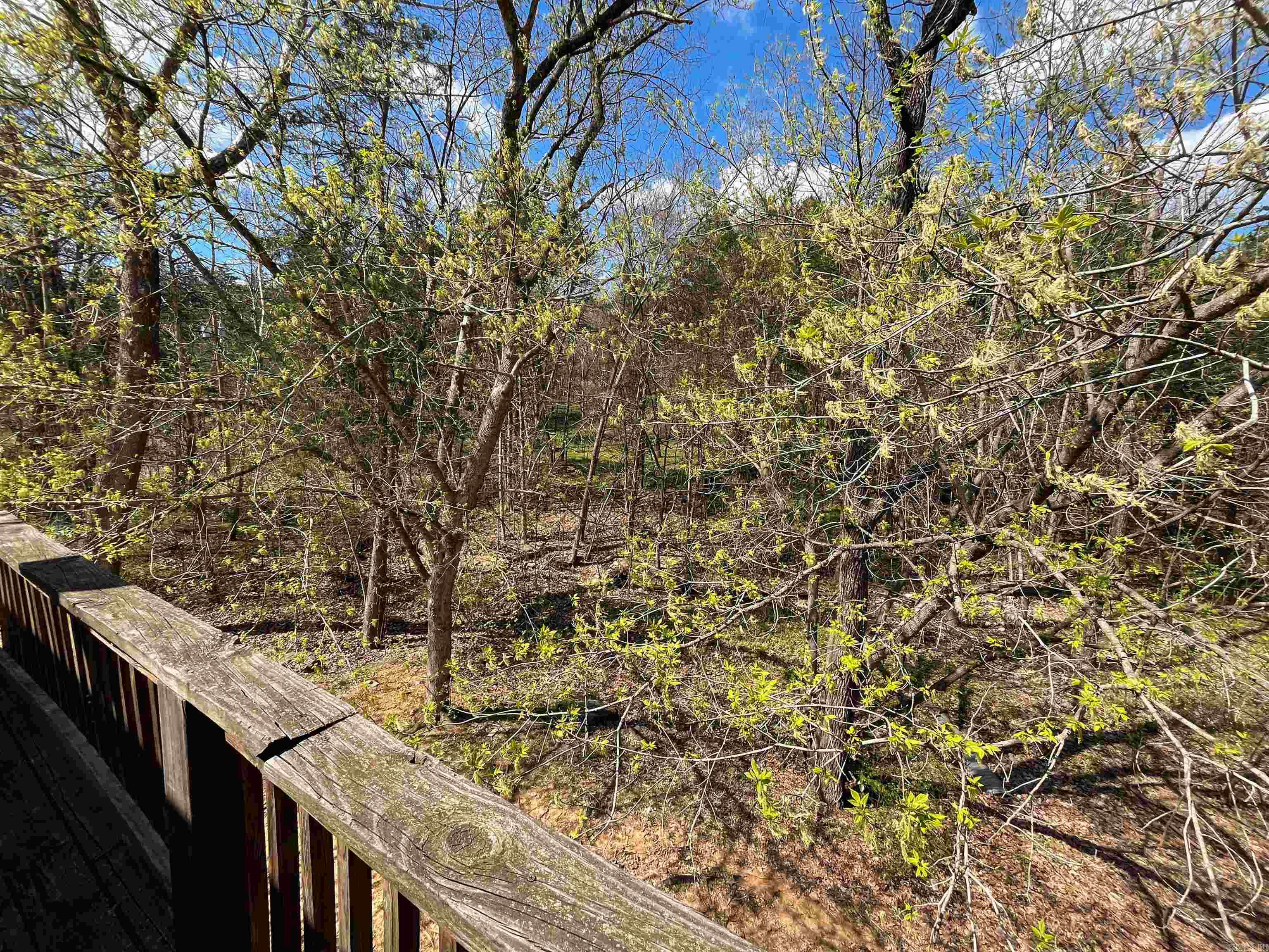 6 Akokisa Dr Cherokee Village, AR 72529