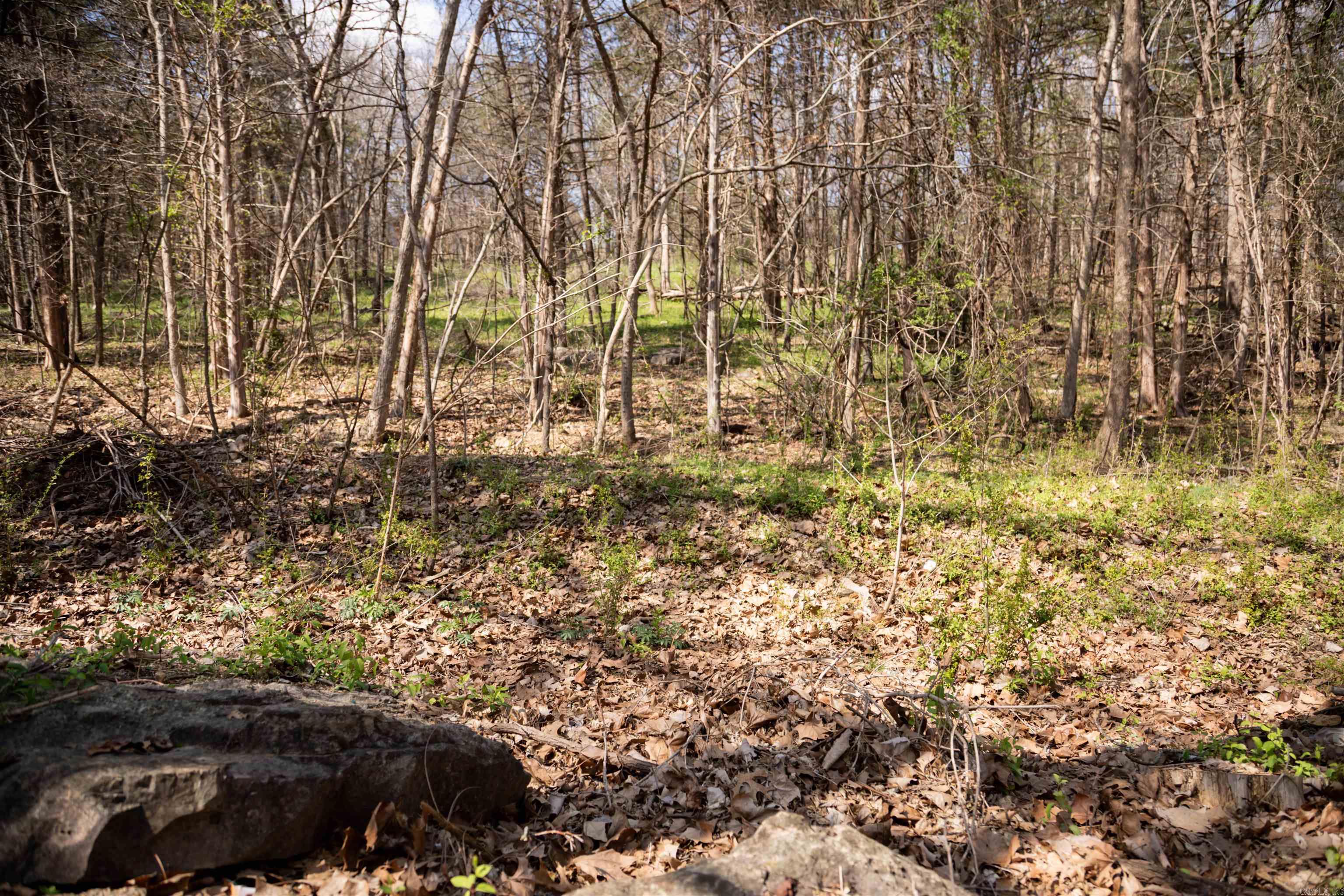 6 Akokisa Dr Cherokee Village, AR 72529