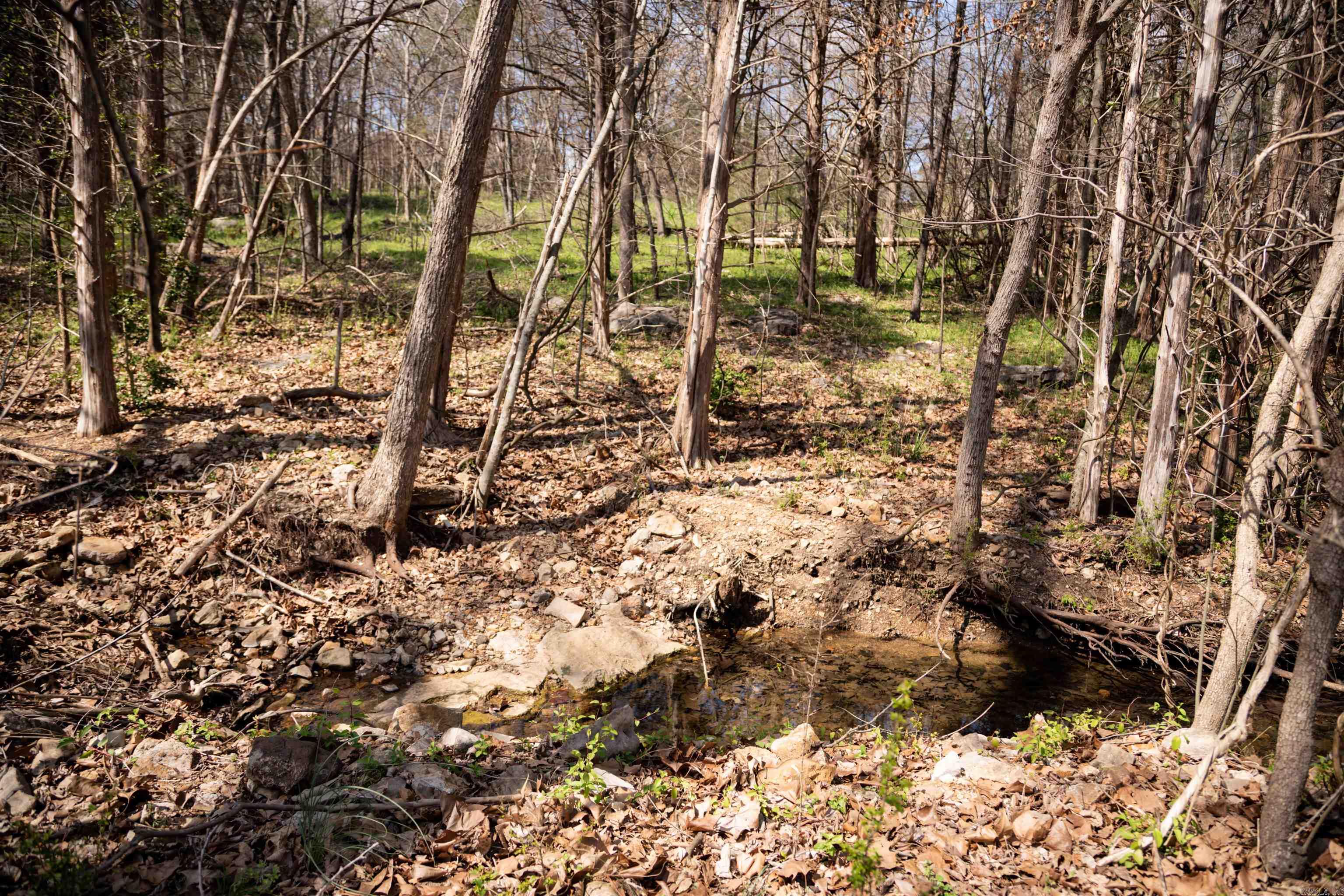 6 Akokisa Dr Cherokee Village, AR 72529