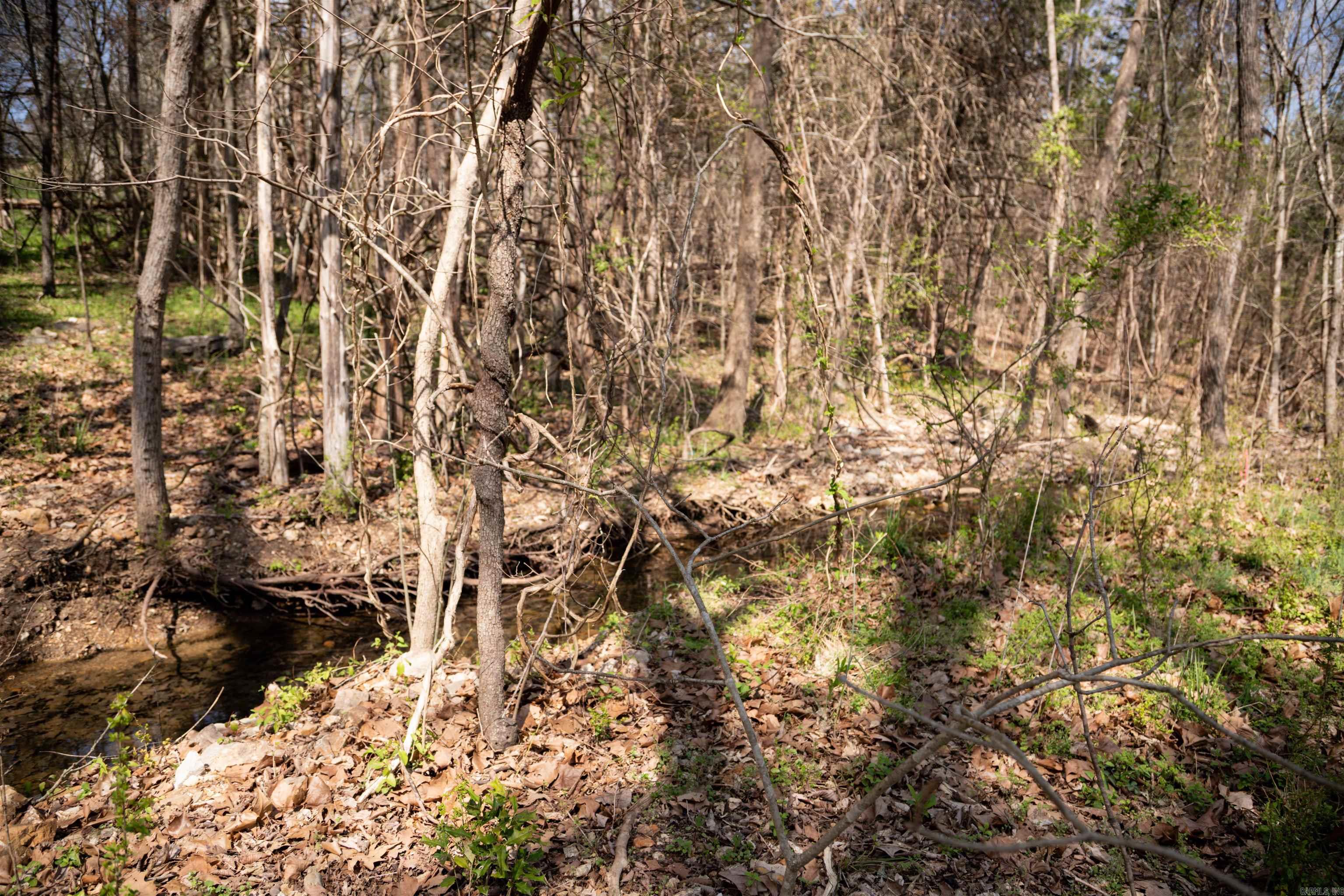 6 Akokisa Dr  Cherokee Village, AR