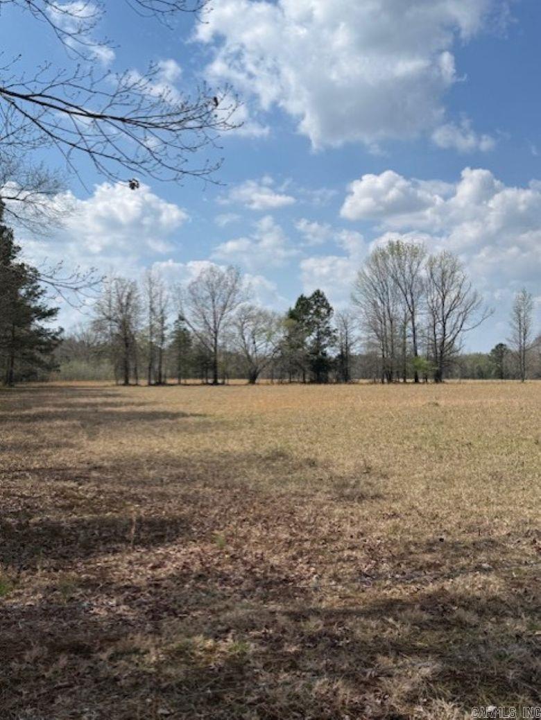 TBD George  Arkadelphia, AR