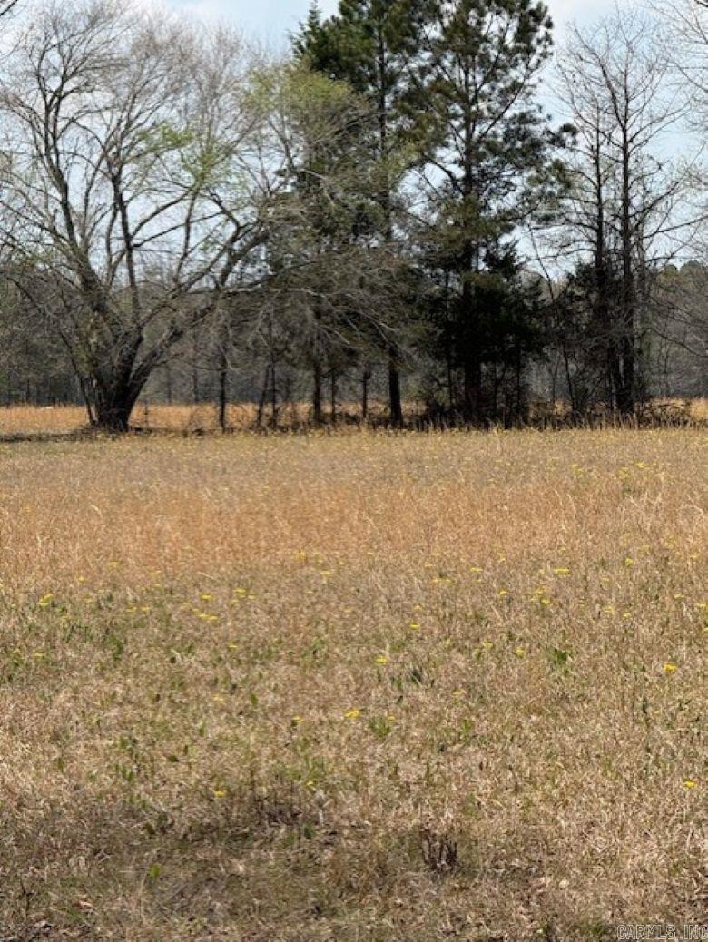 TBD George  Arkadelphia, AR