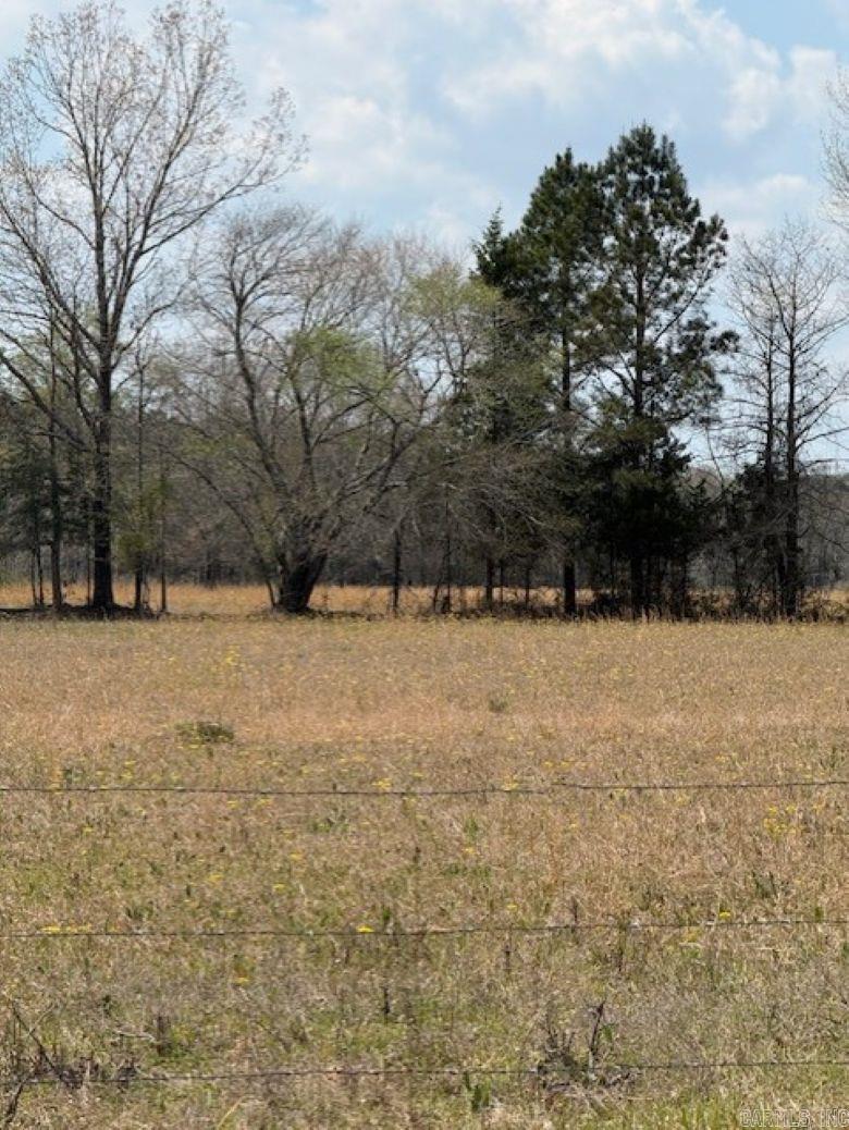 TBD George  Arkadelphia, AR