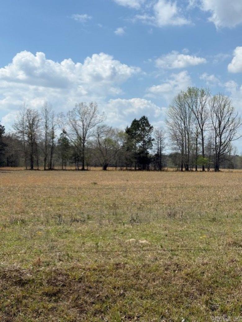 TBD George  Arkadelphia, AR