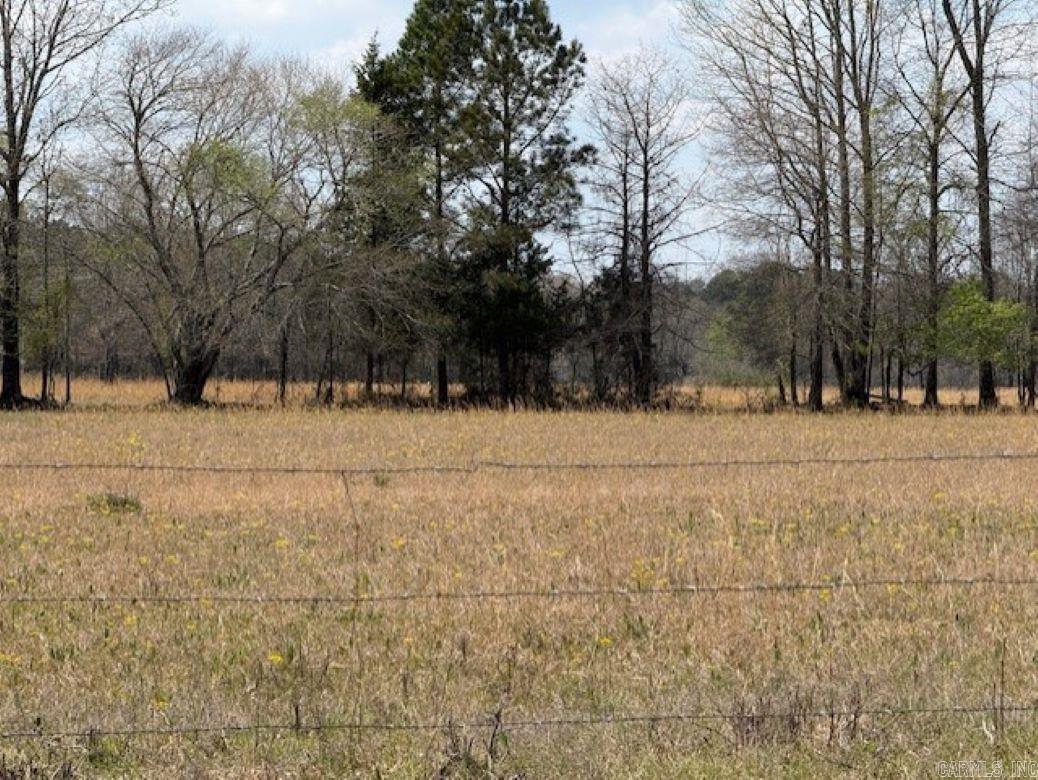 TBD George  Arkadelphia, AR