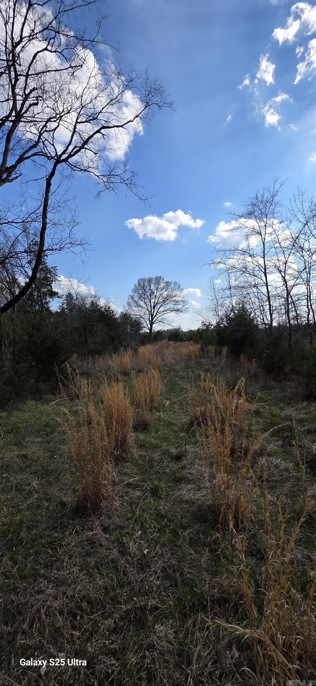  Newberry  Vilonia, AR