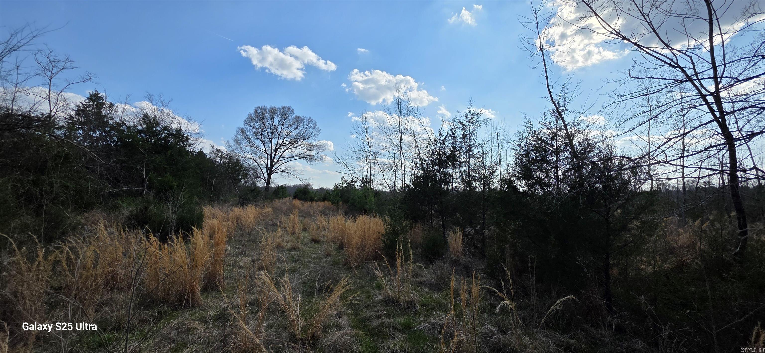  Newberry  Vilonia, AR