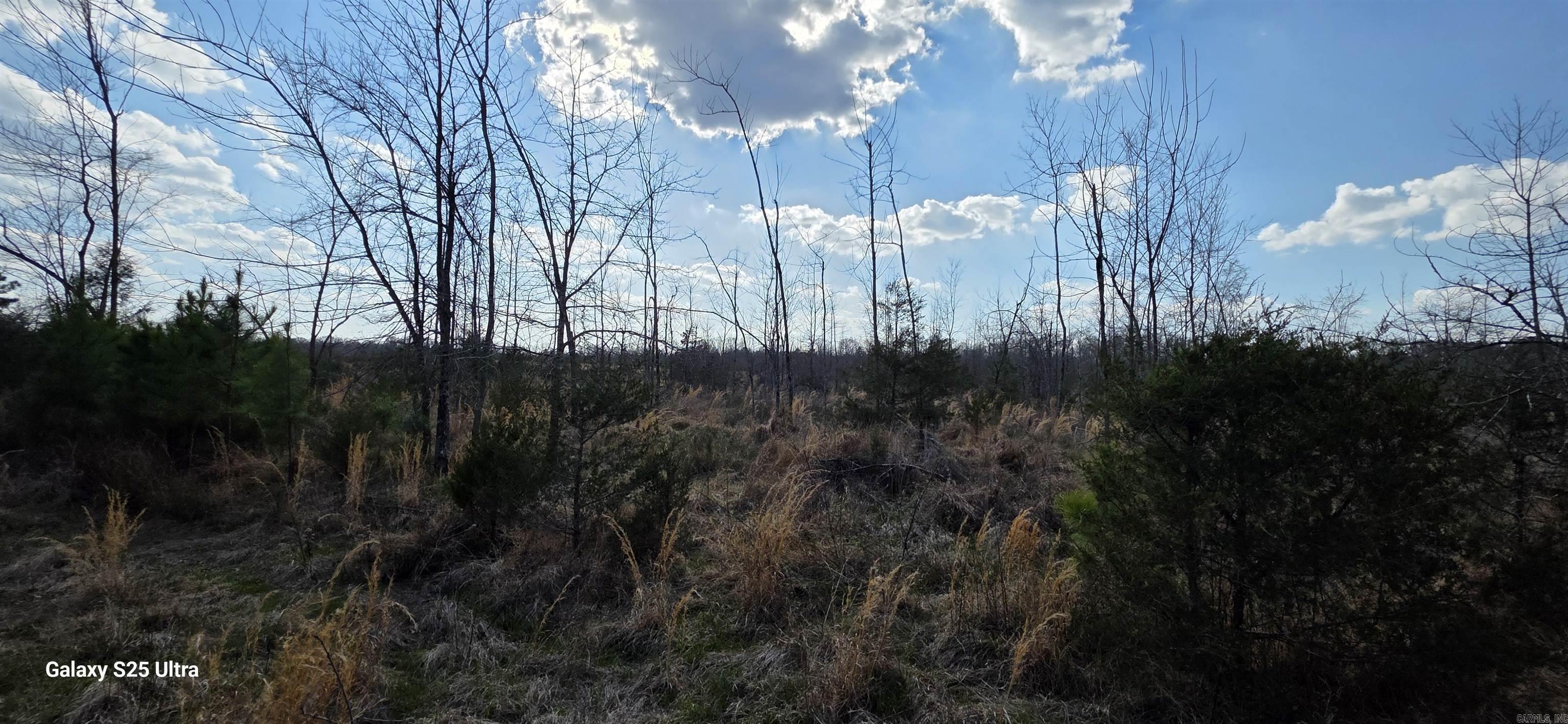  Newberry  Vilonia, AR