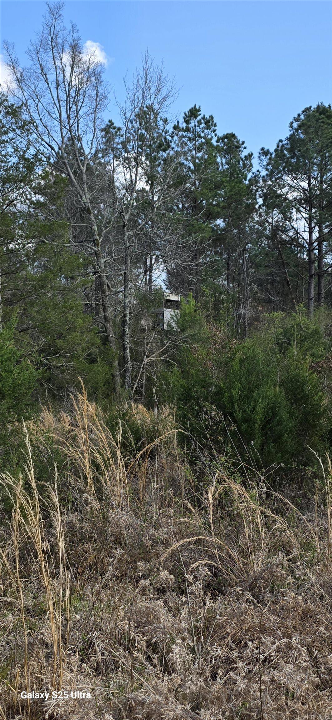  Newberry  Vilonia, AR