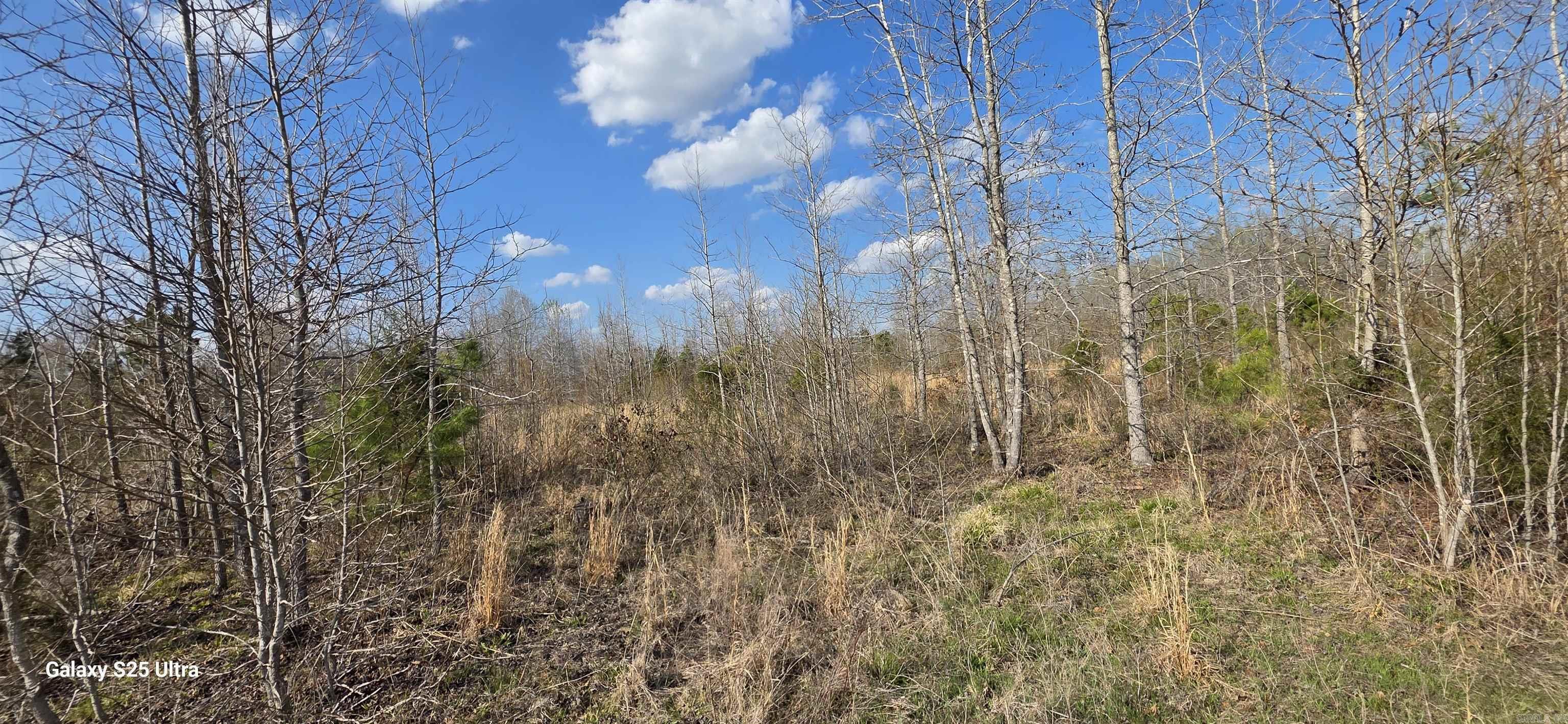  Newberry  Vilonia, AR