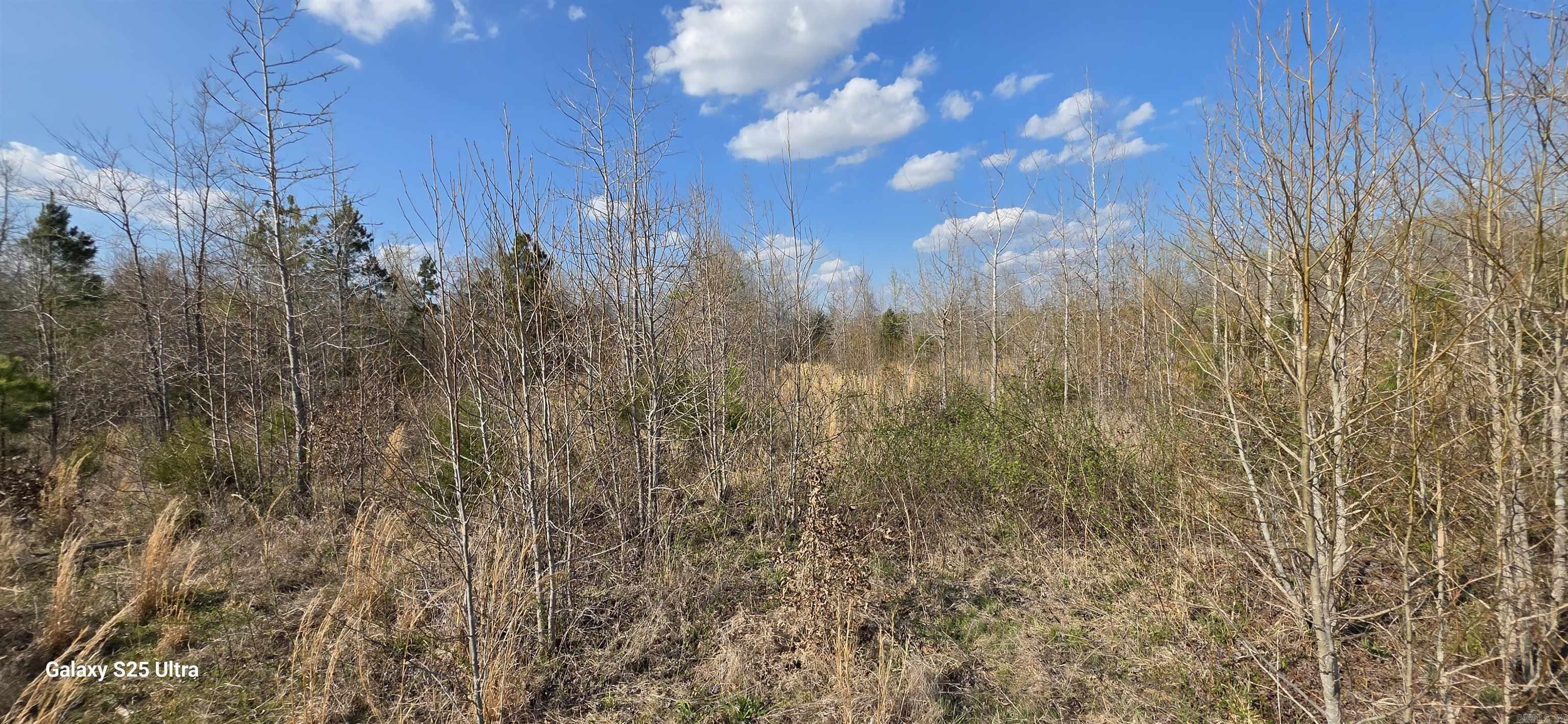  Newberry  Vilonia, AR