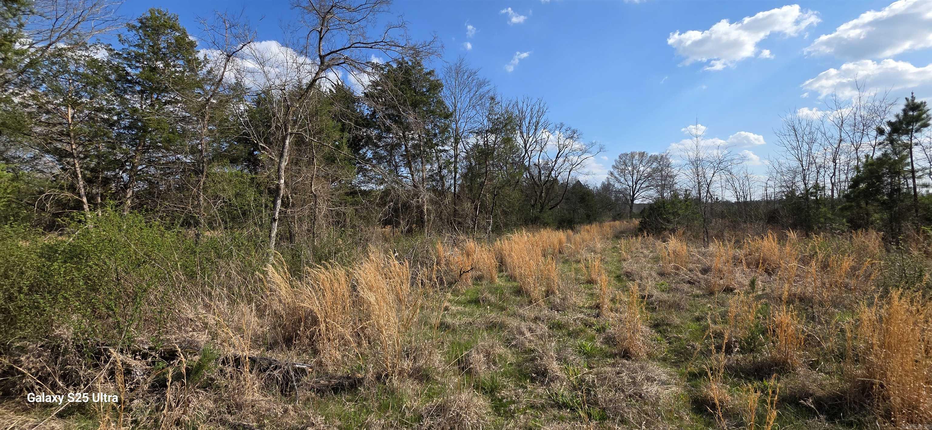  Newberry  Vilonia, AR