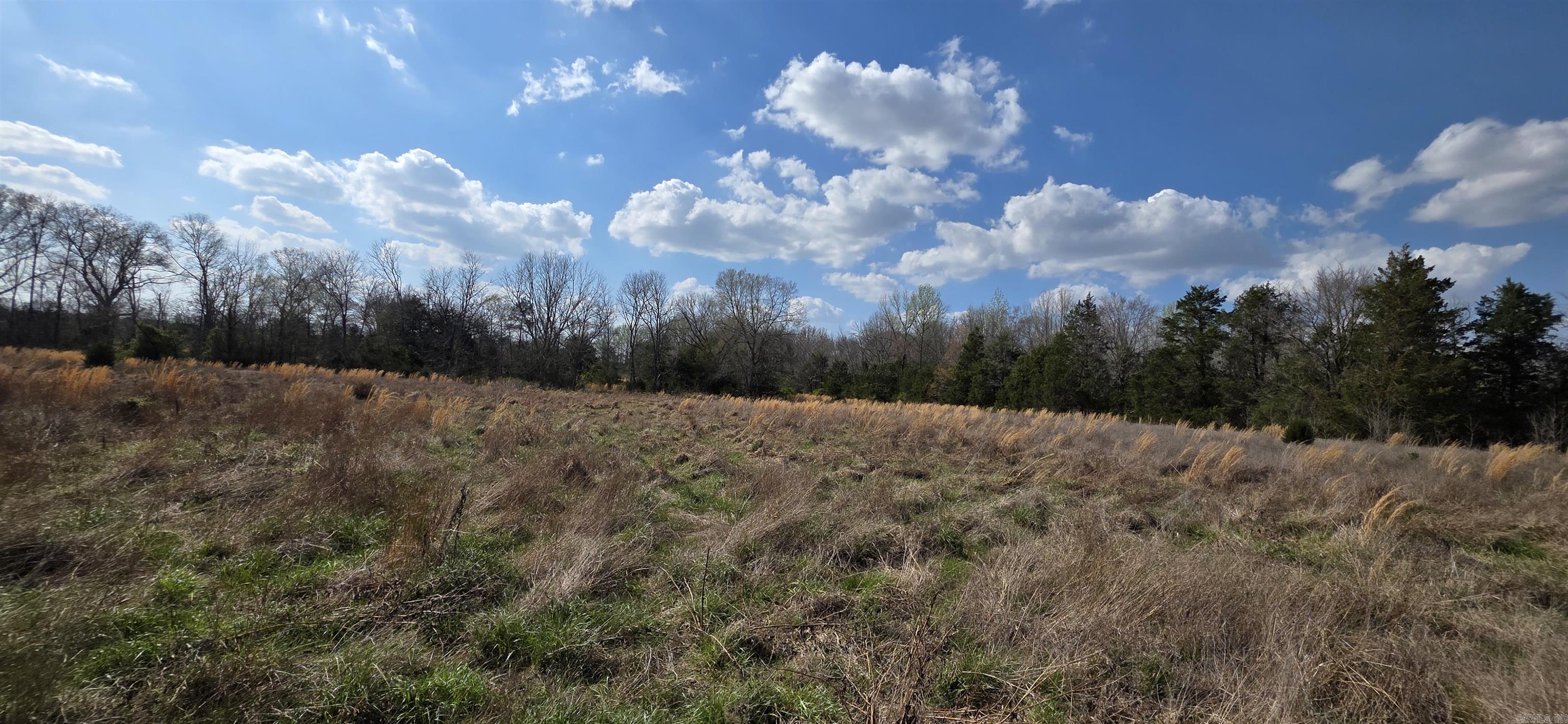  Newberry  Vilonia, AR