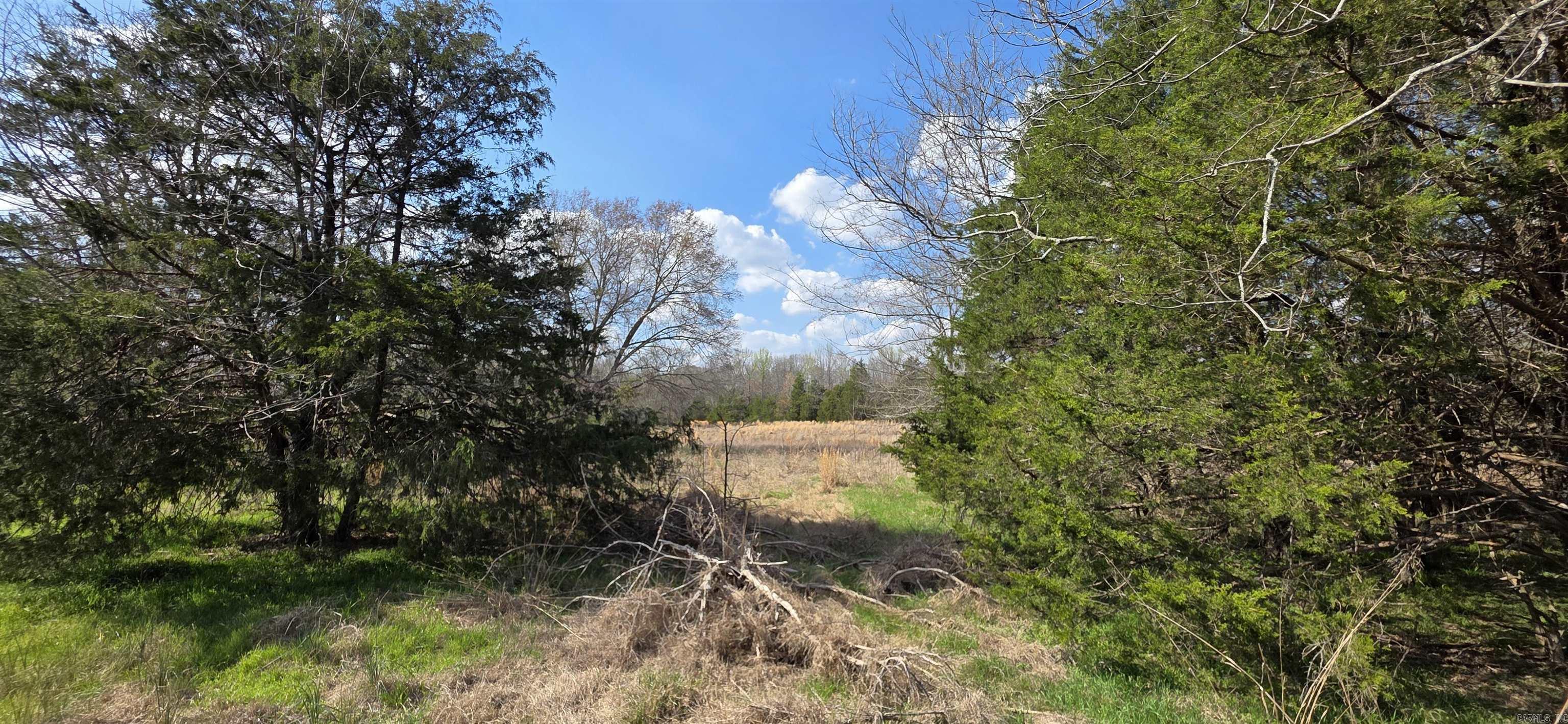  Newberry  Vilonia, AR