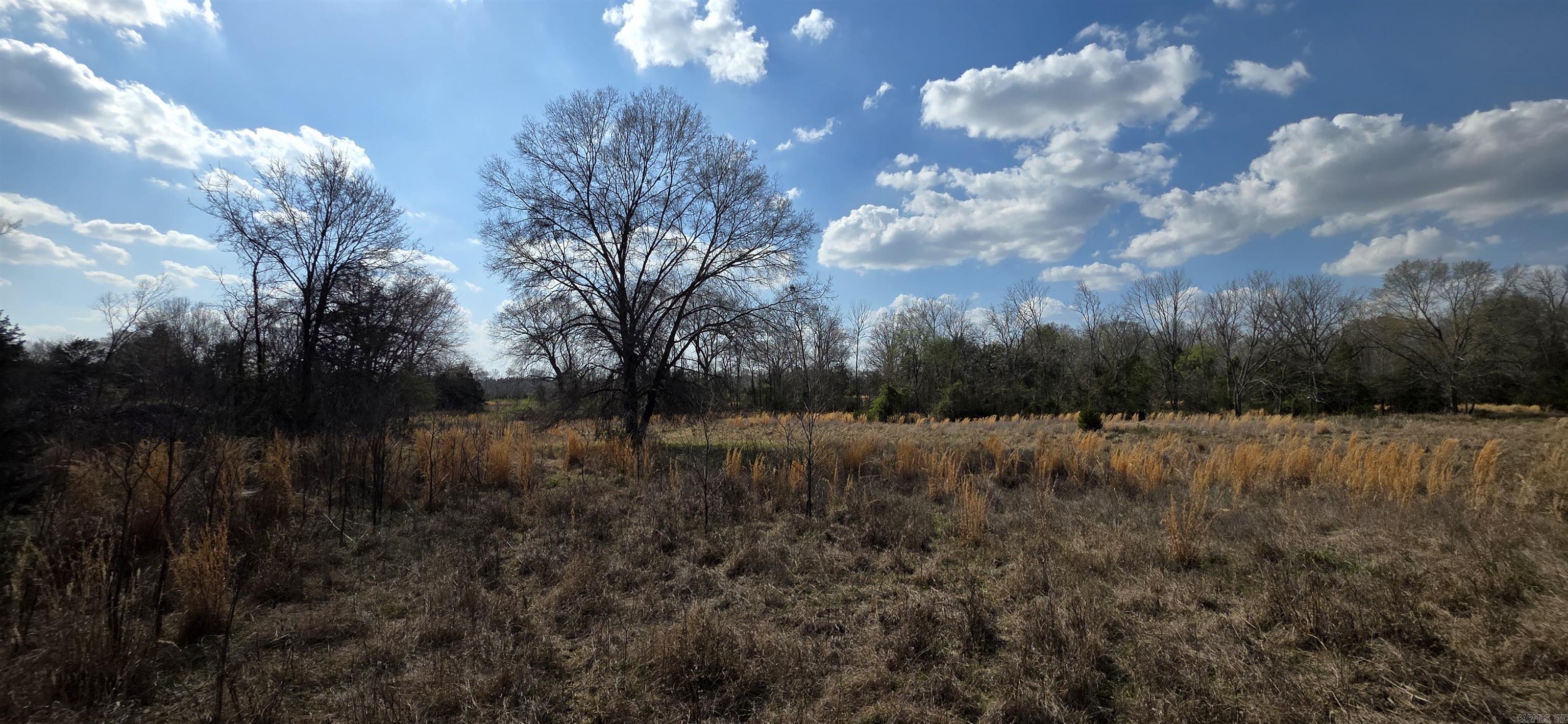  Newberry  Vilonia, AR