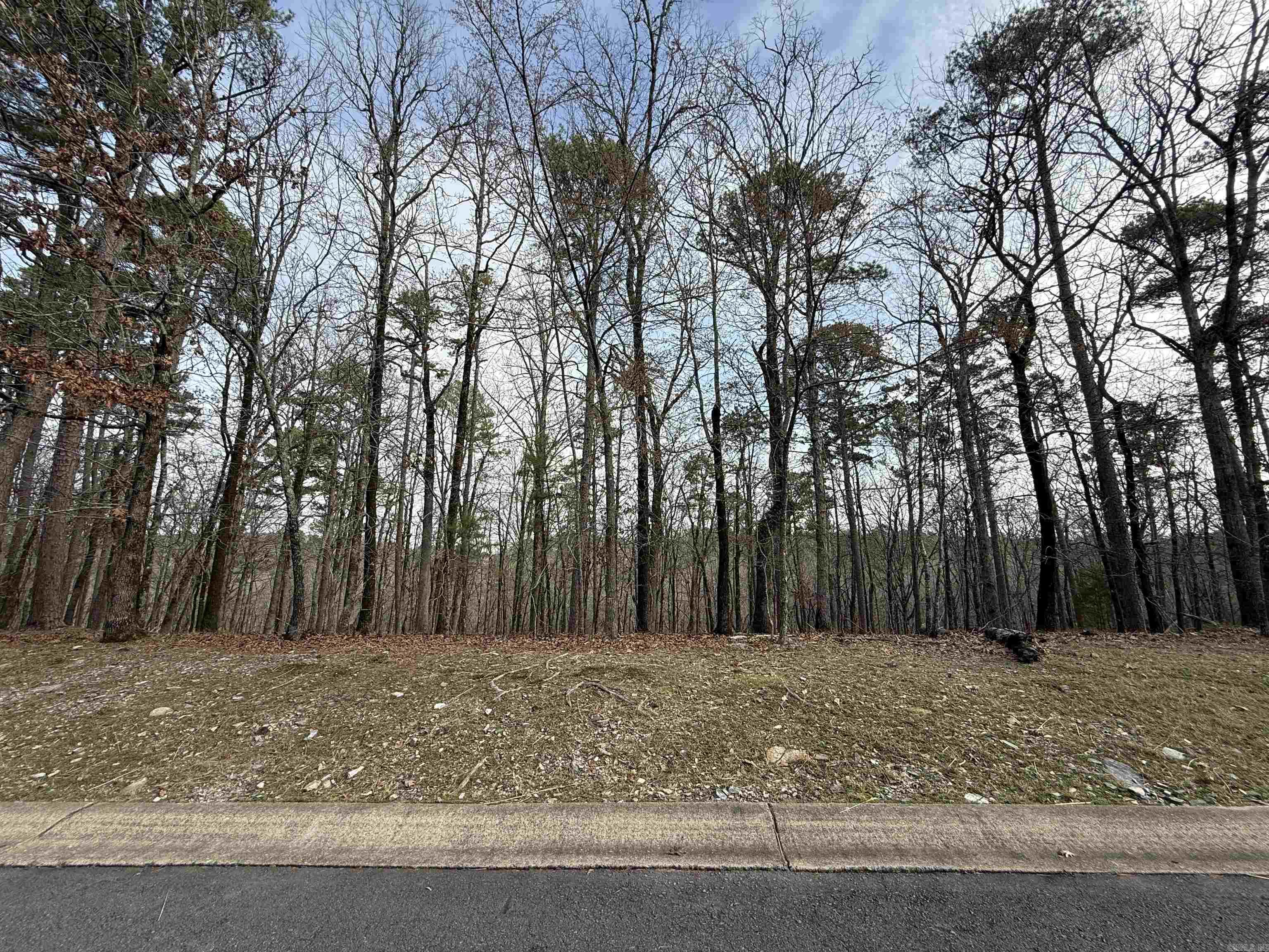 4 Cavalier Court  Little Rock, AR