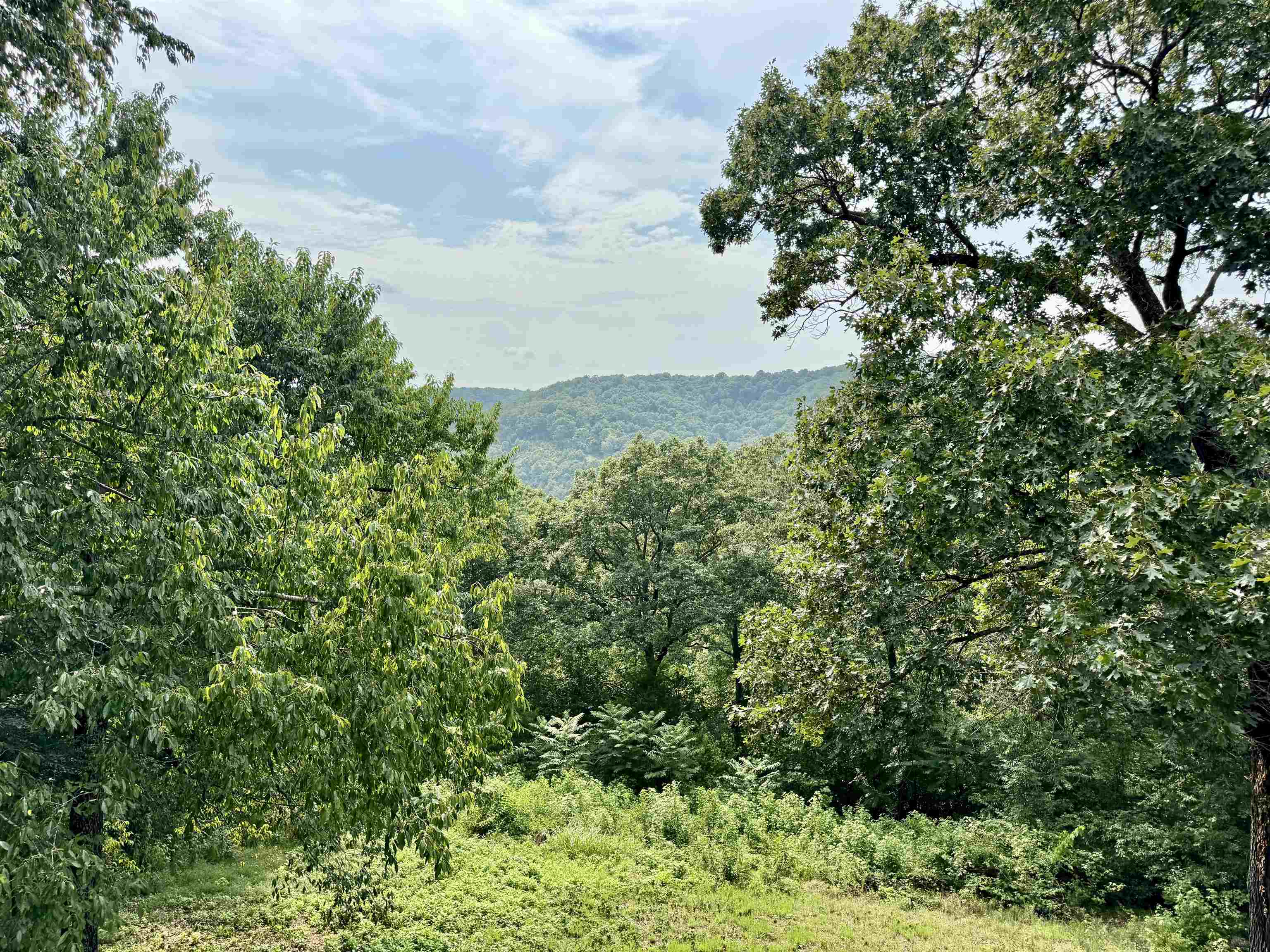 1024 Double Bridge Loop  Mountain View, AR