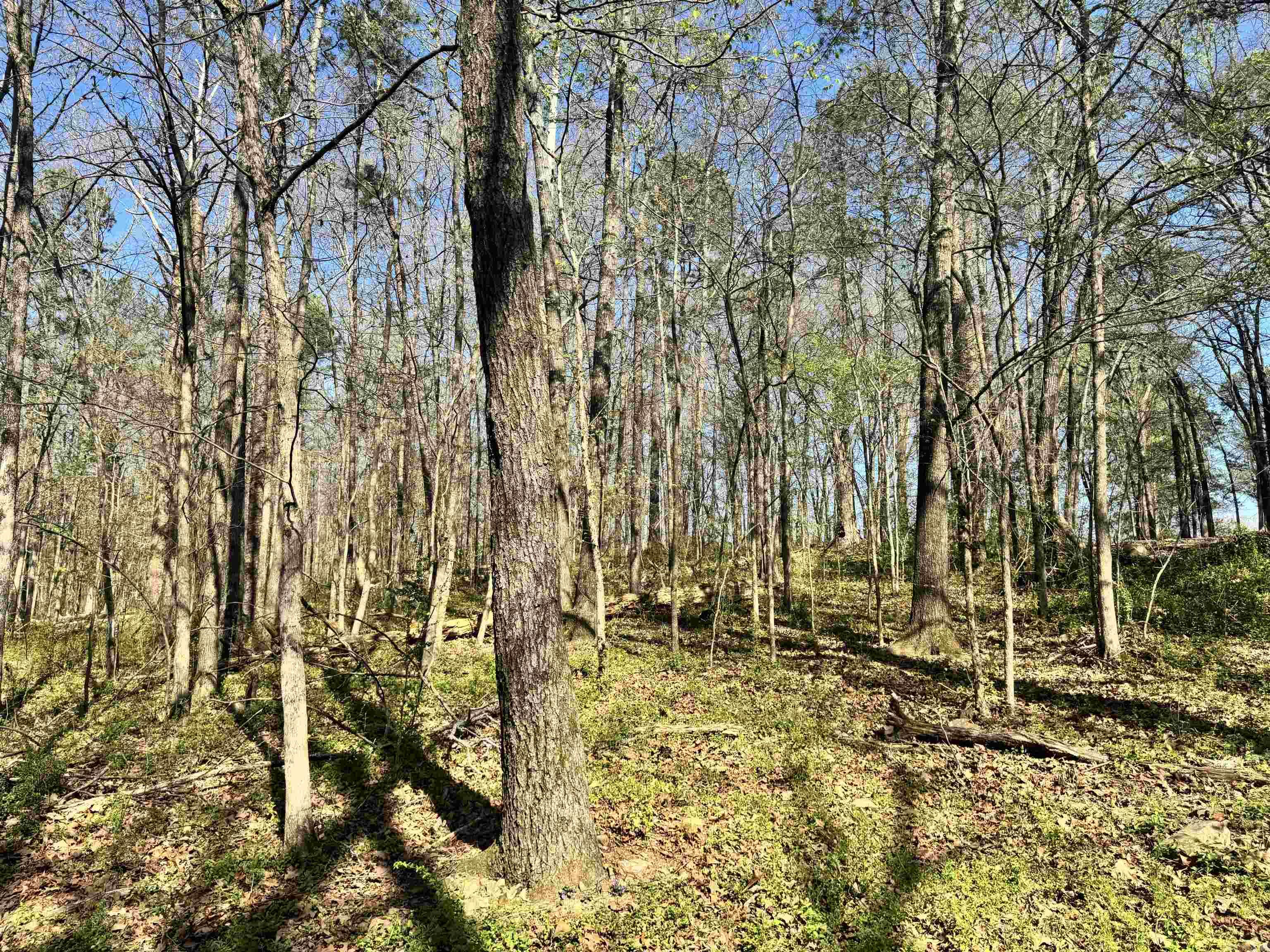 209 Finks Street  Mena, AR