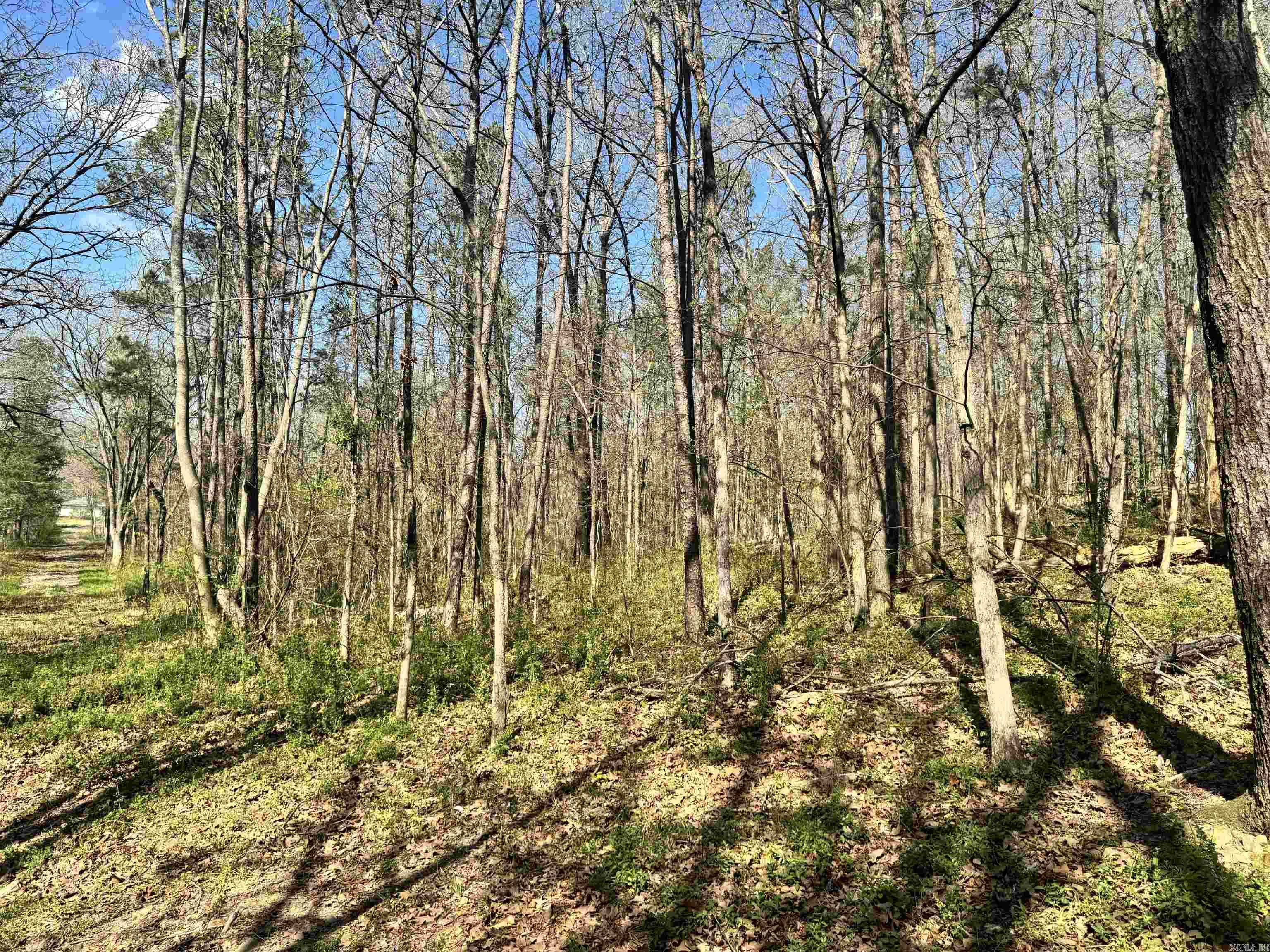 209 Finks Street  Mena, AR