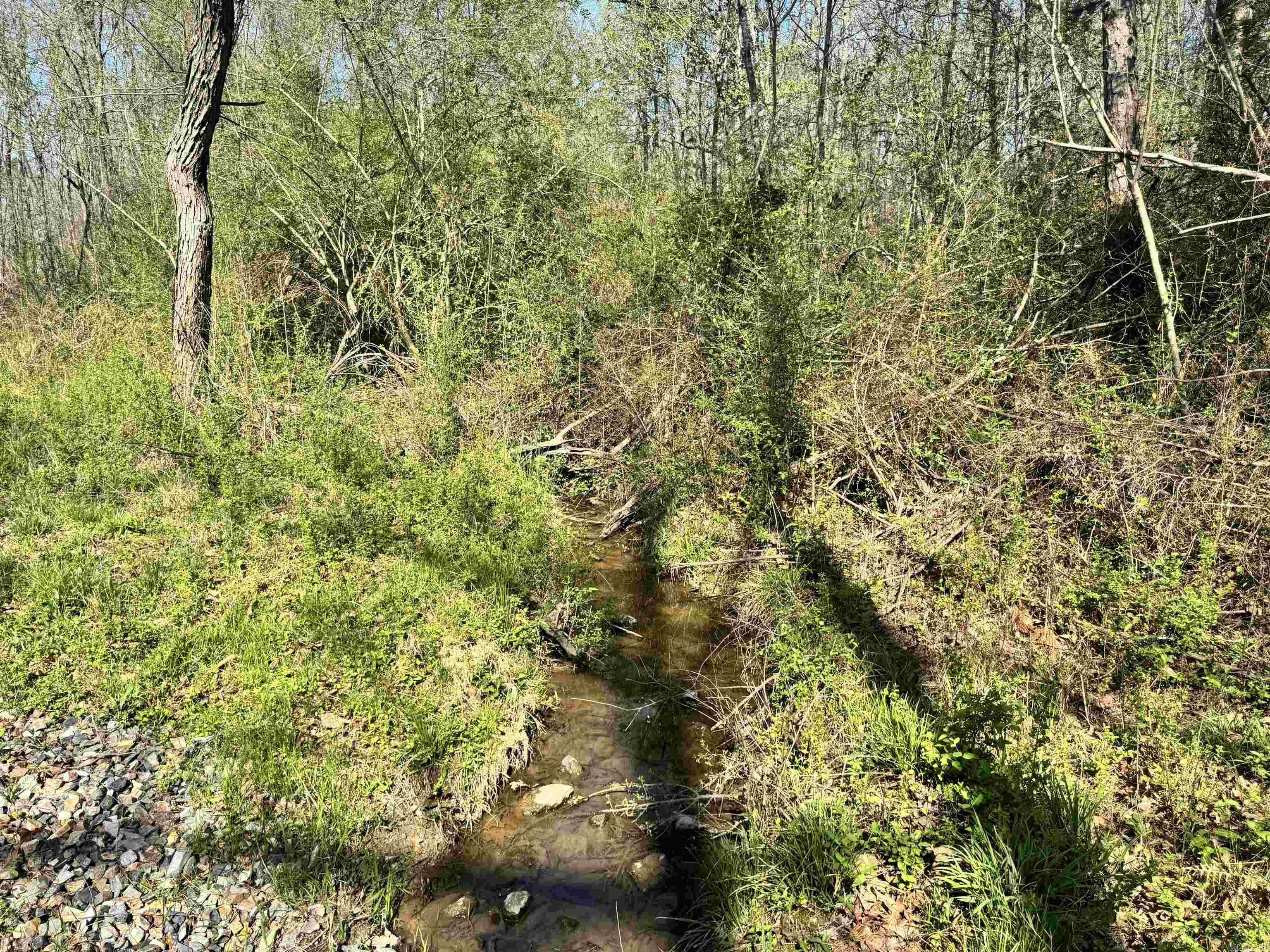 209 Finks Street  Mena, AR