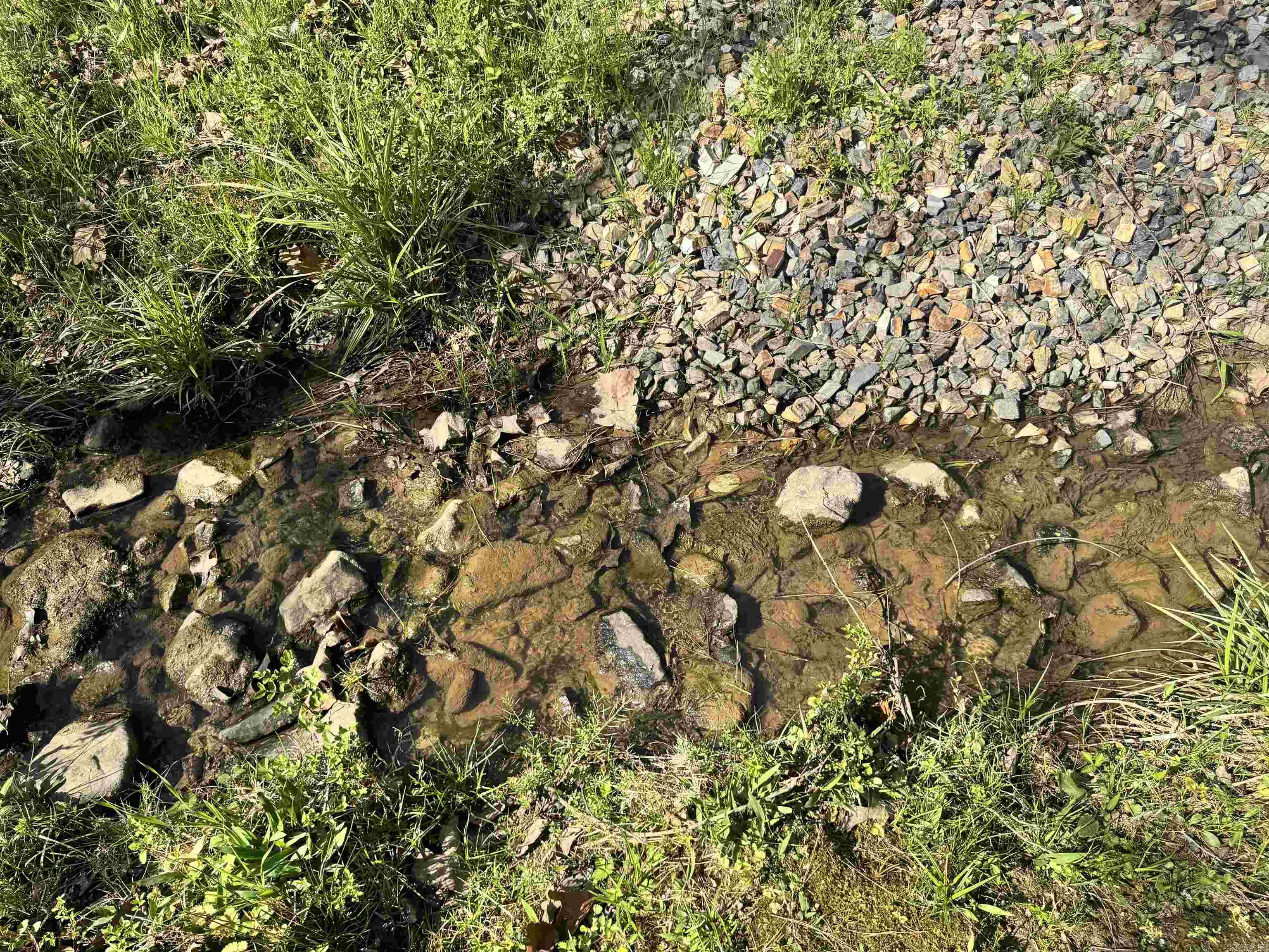 209 Finks Street  Mena, AR