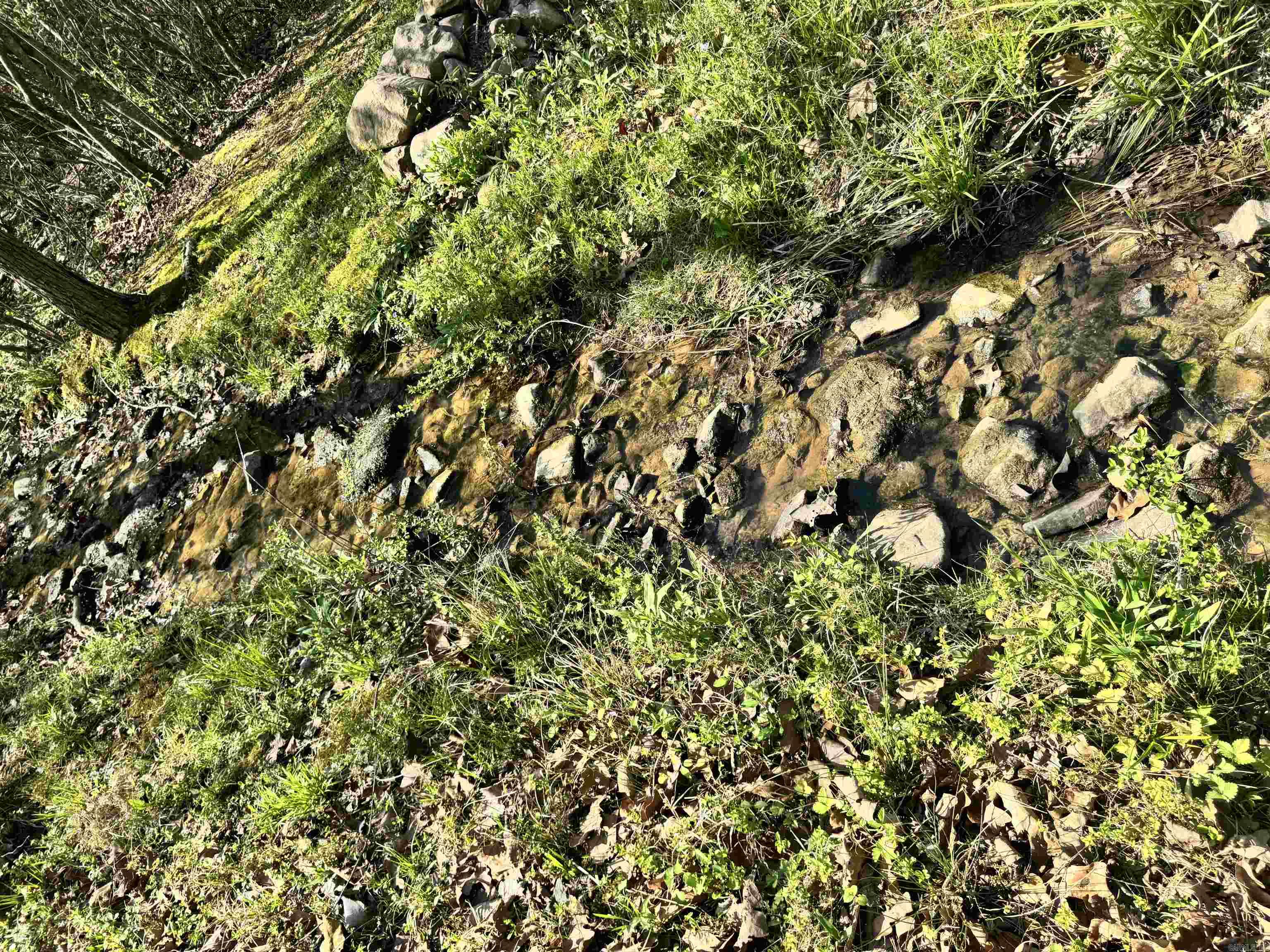 209 Finks Street  Mena, AR