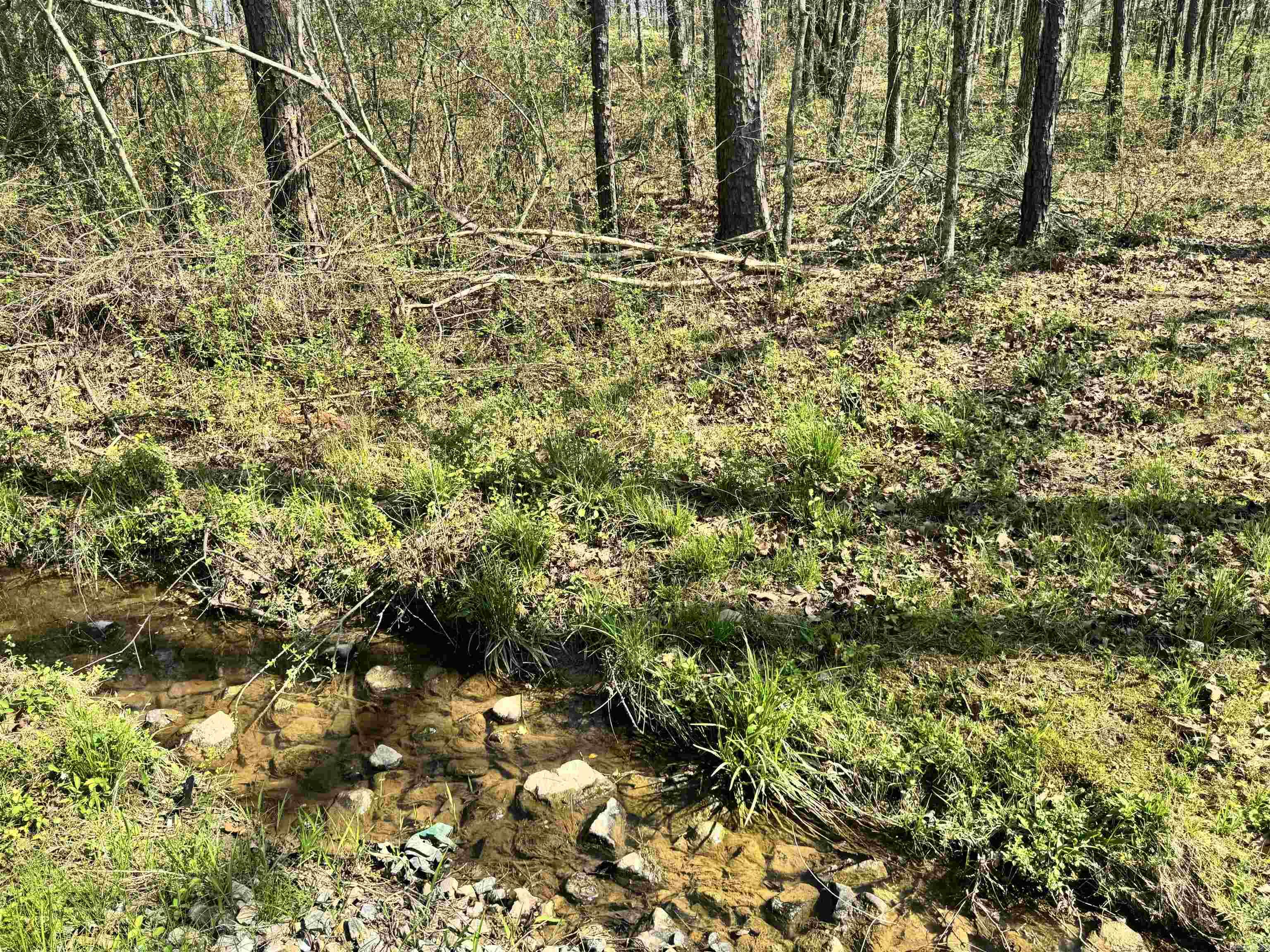 209 Finks Street  Mena, AR