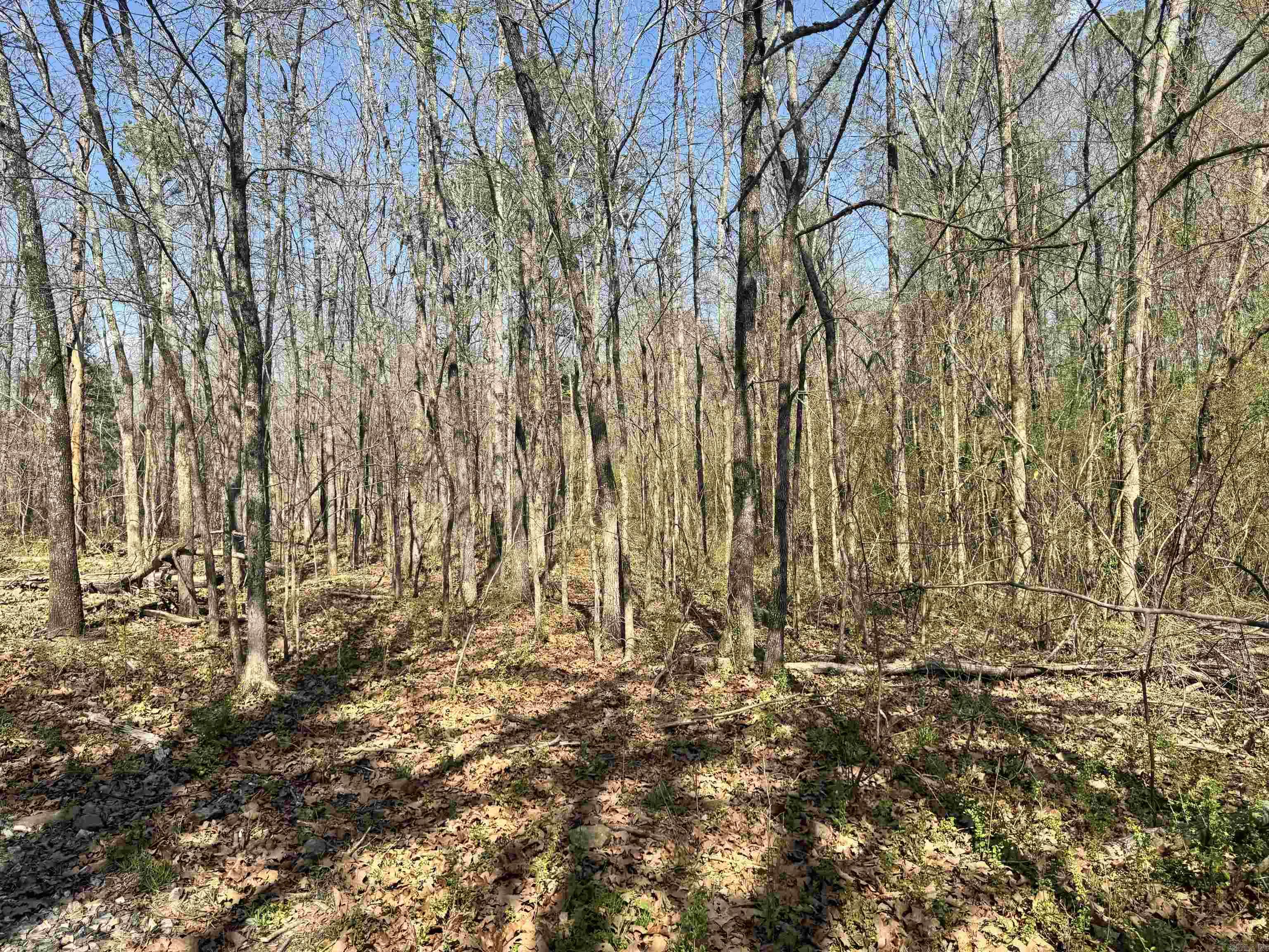 209 Finks Street  Mena, AR