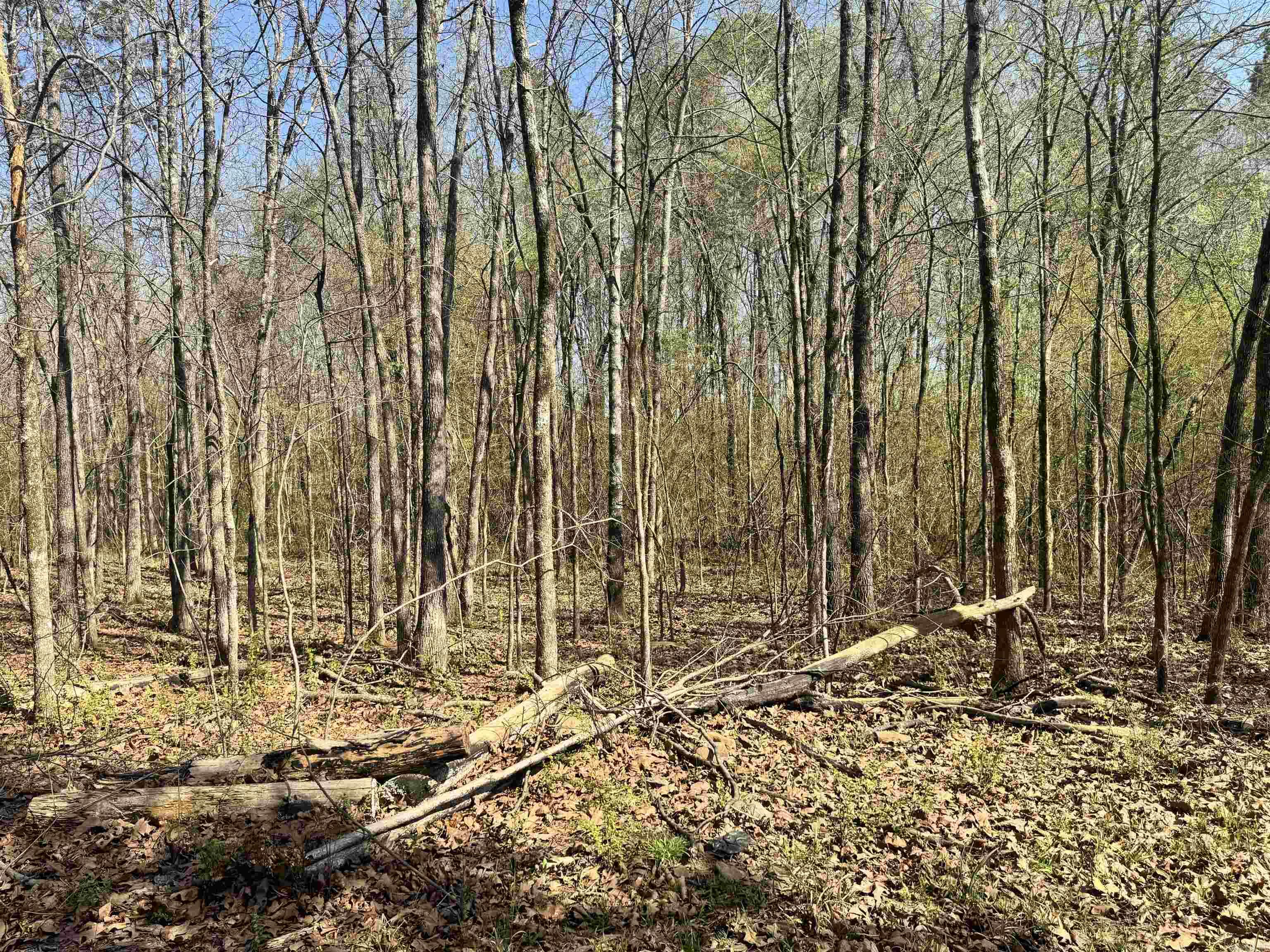 209 Finks Street  Mena, AR