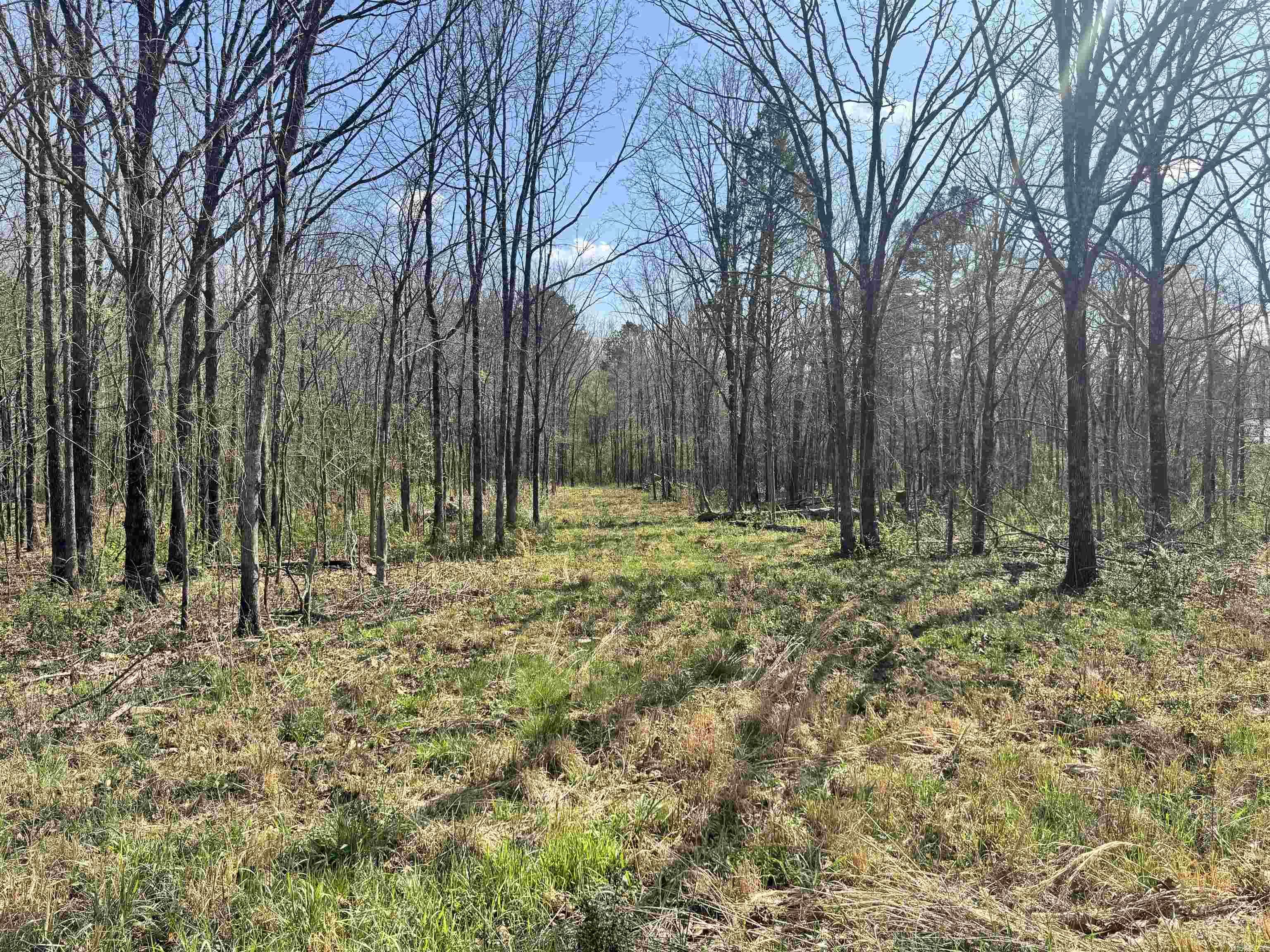 209 Finks Street  Mena, AR